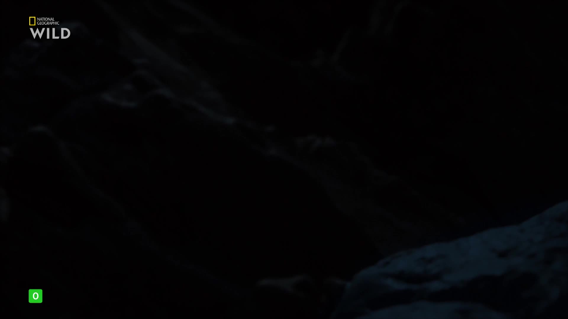 Premium9