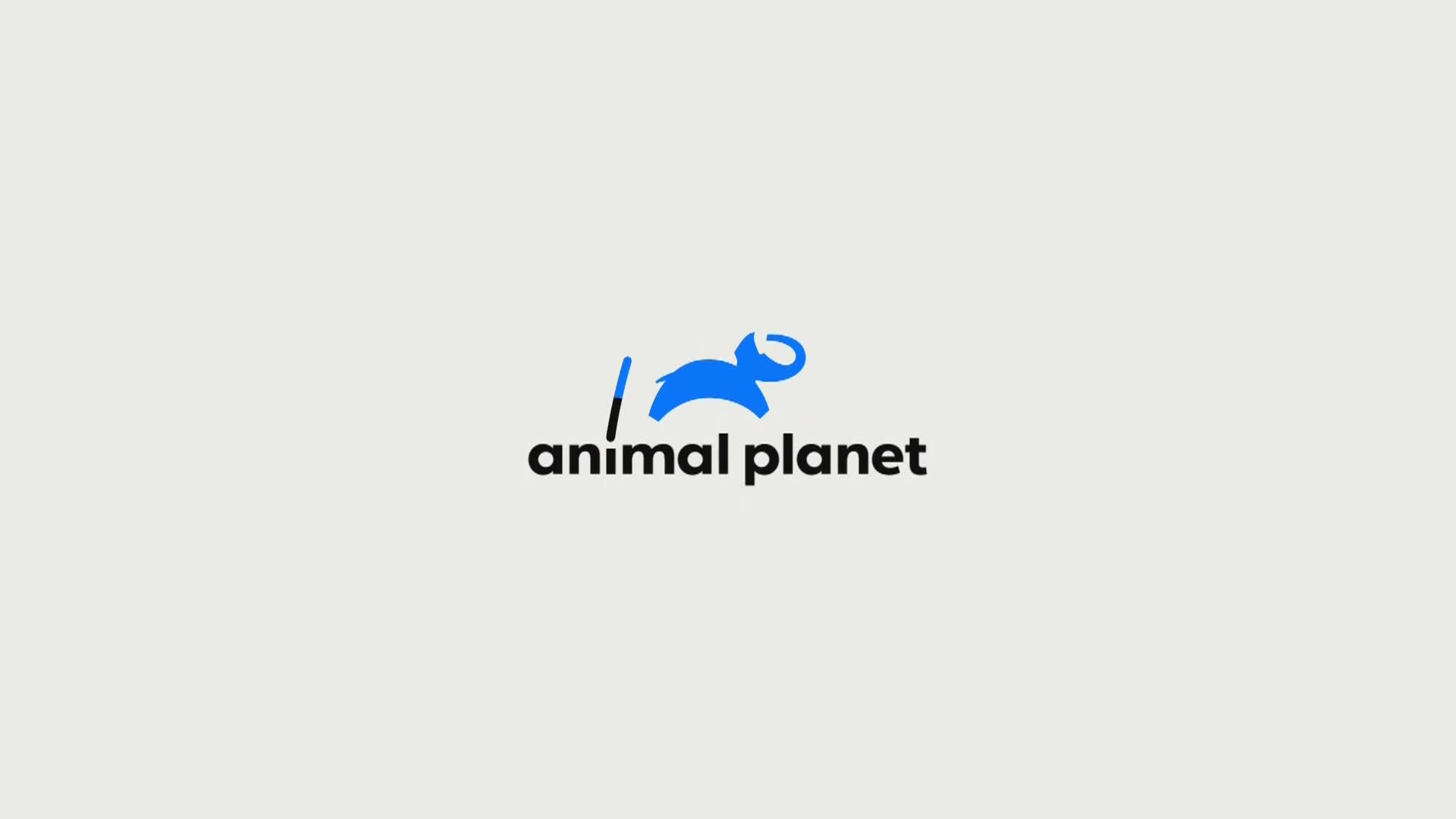 AnimalPlanet