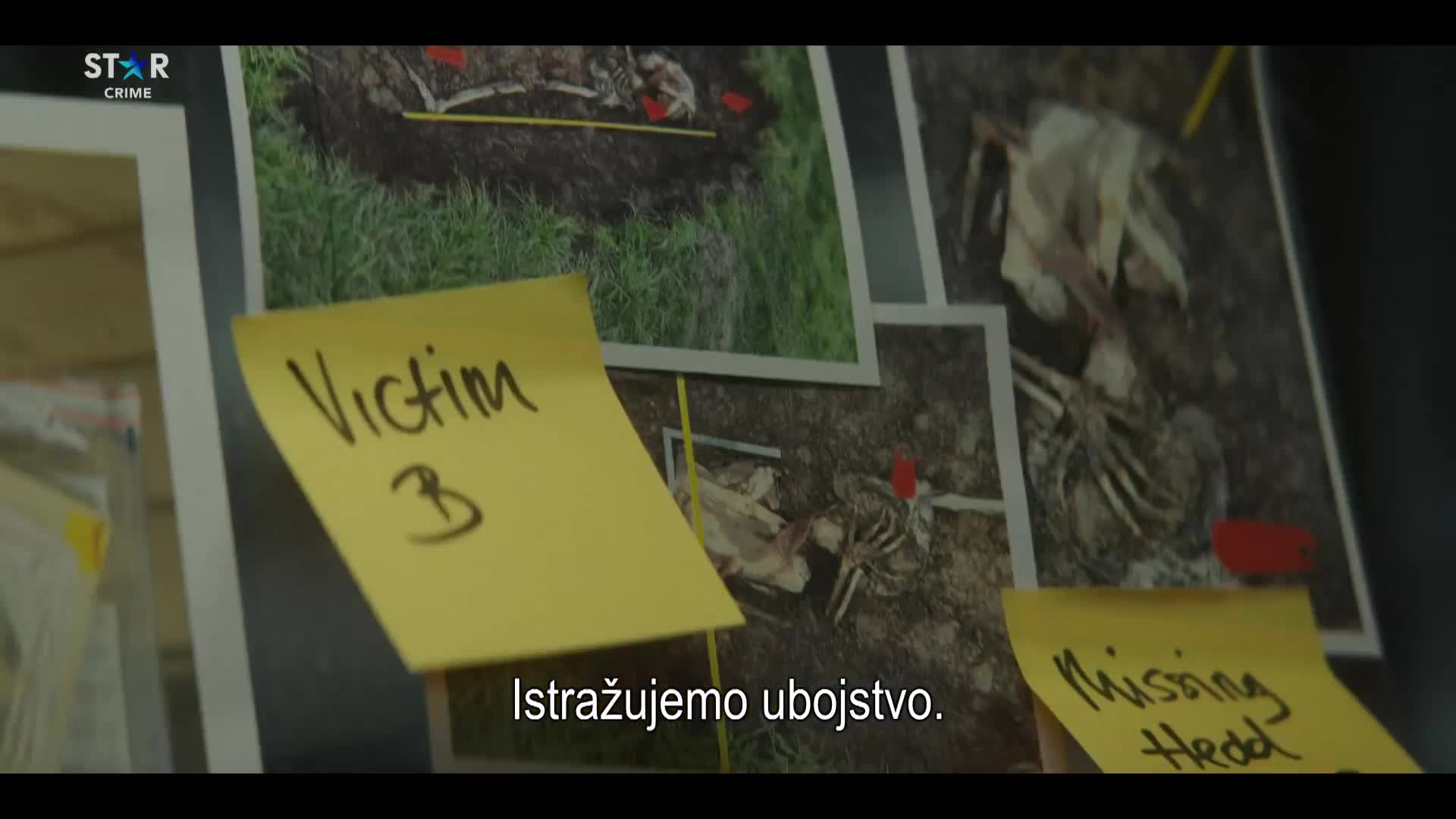 Premium18