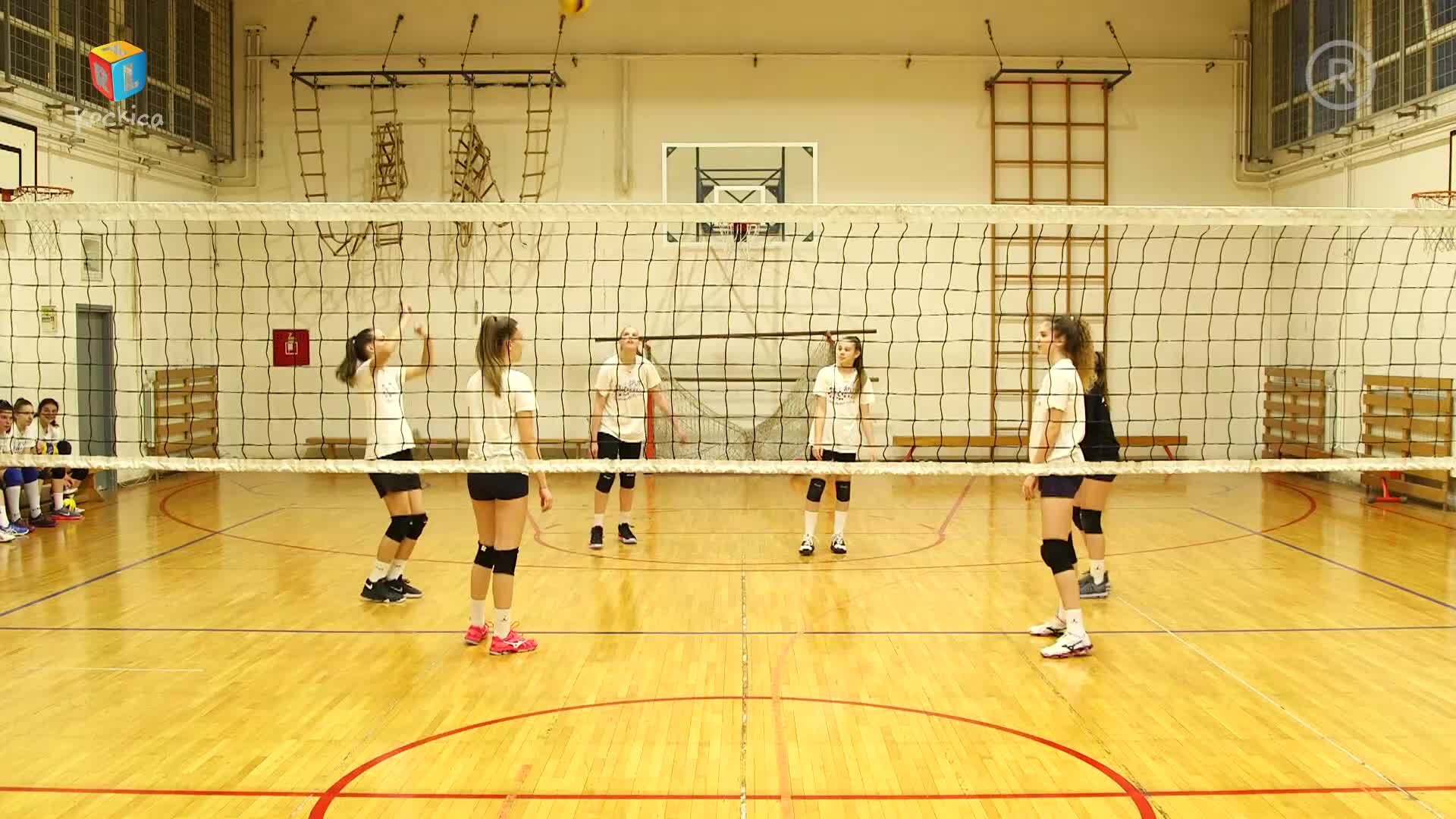 RTLKockica