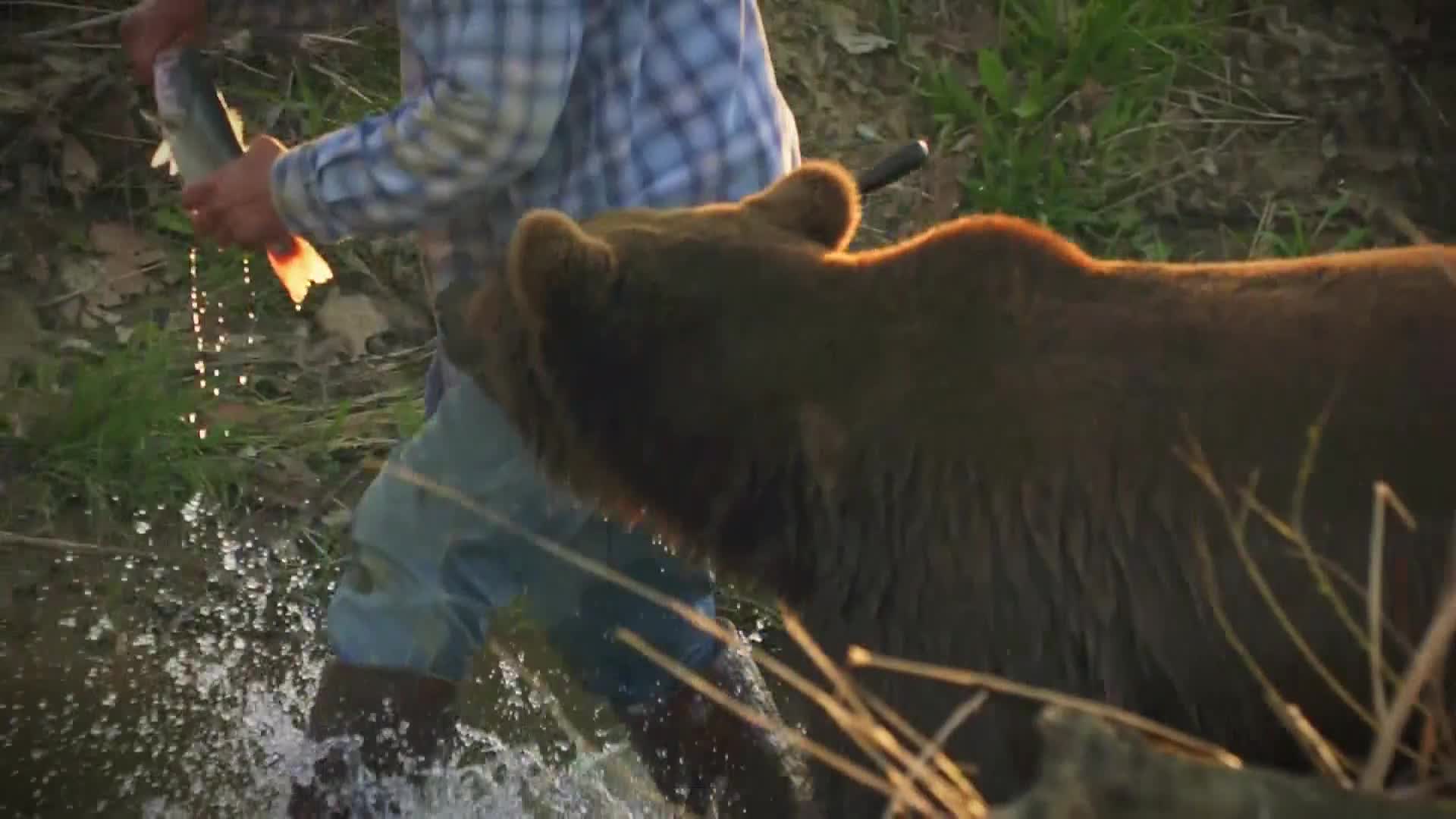 AnimalPlanet