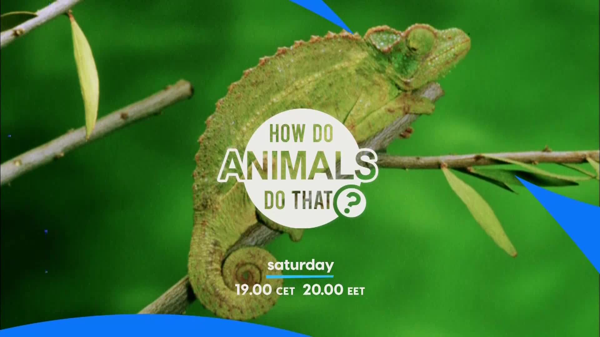AnimalPlanet