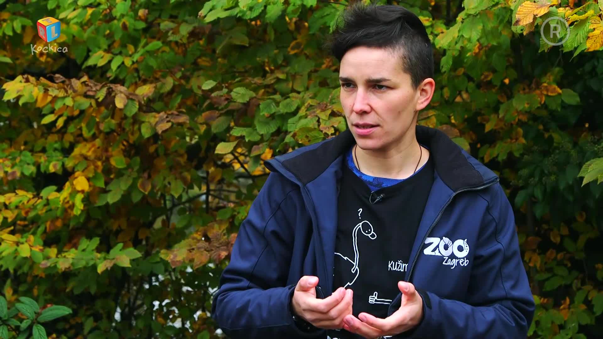 RTLKockica