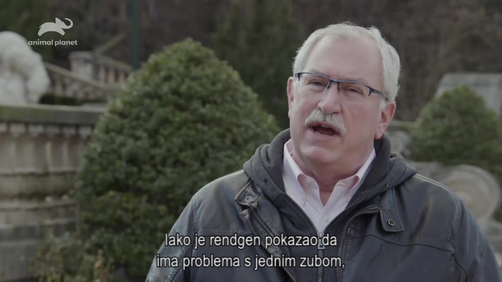 AnimalPlanet