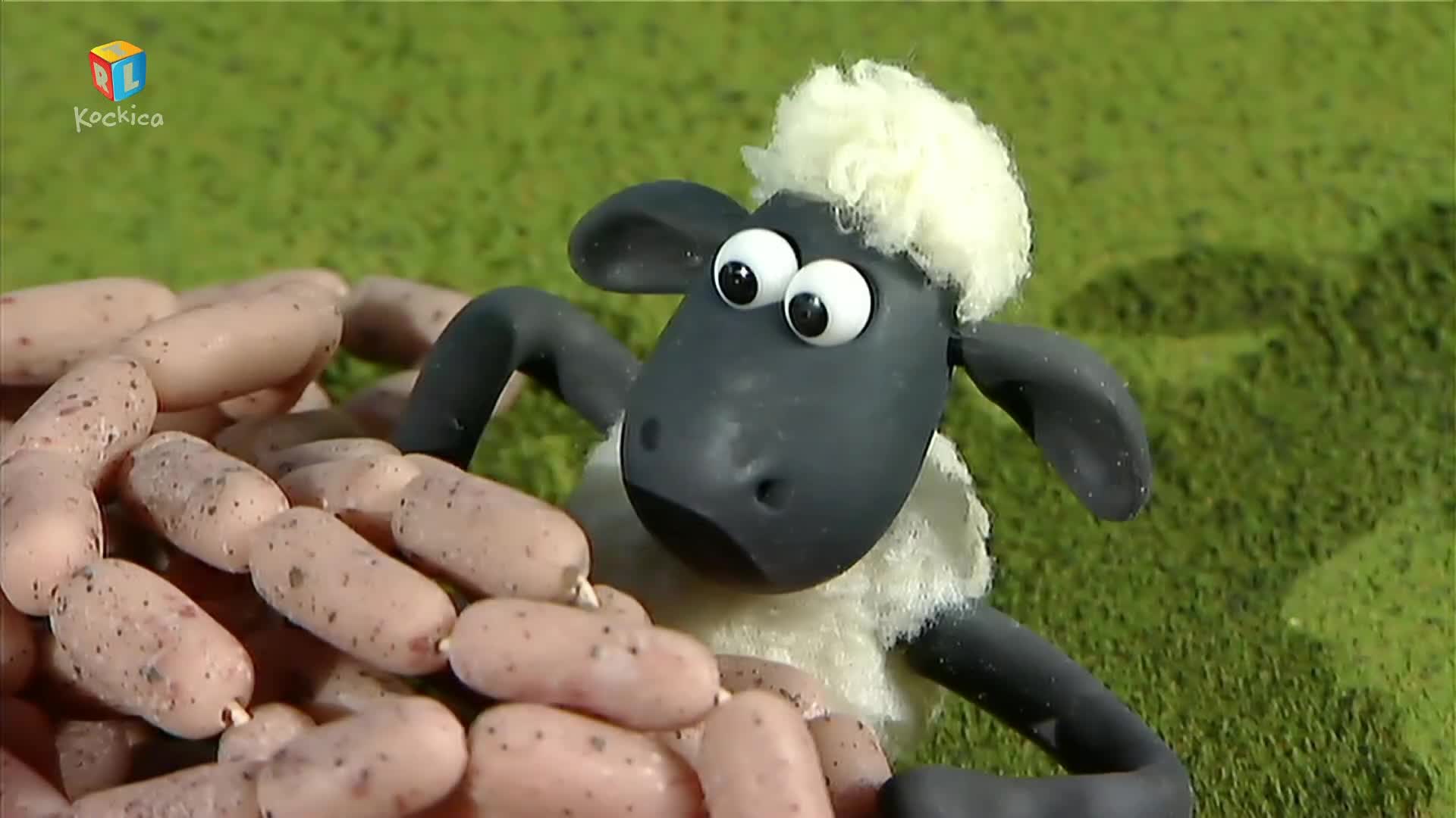 RTLKockica
