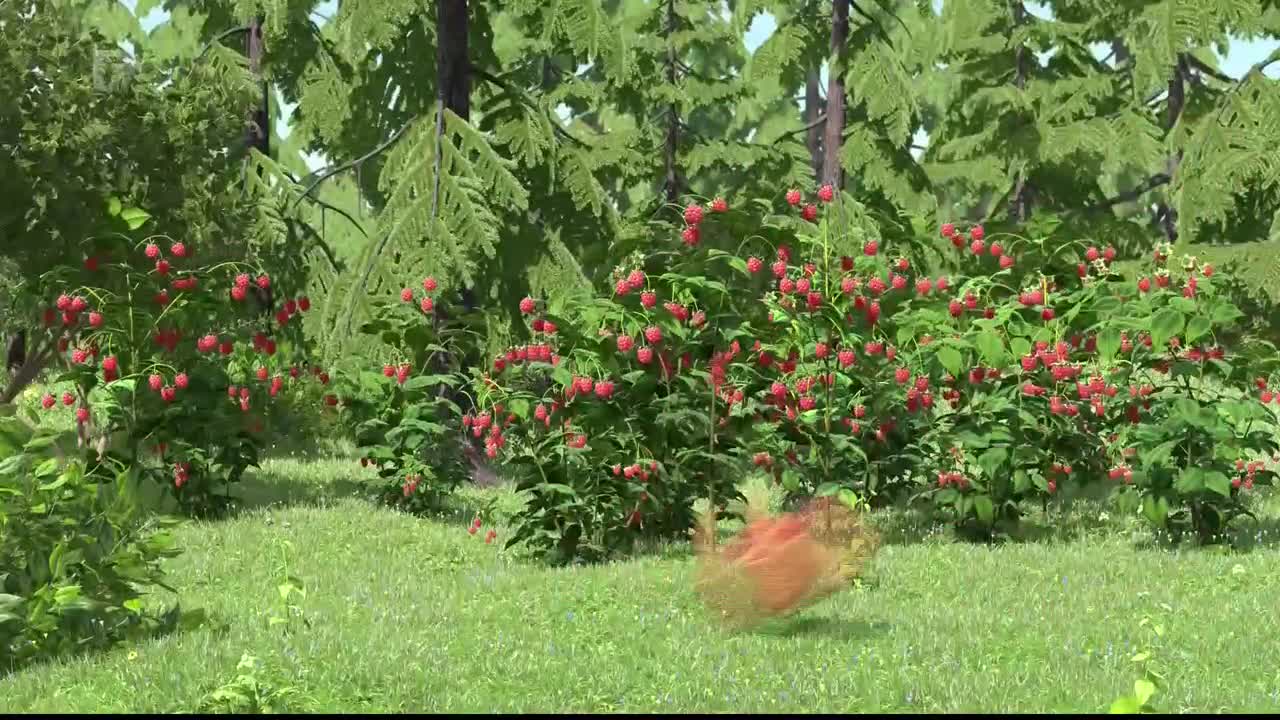 FTV