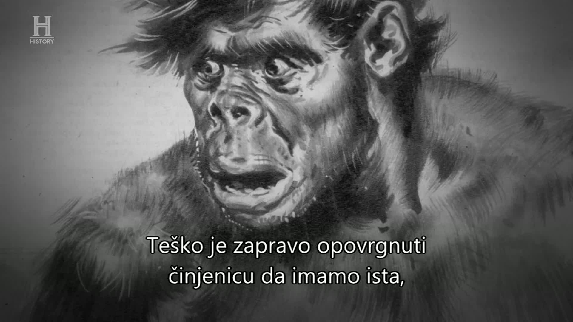 History