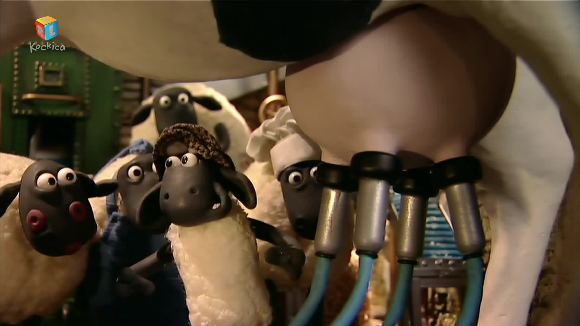 RTLKockica