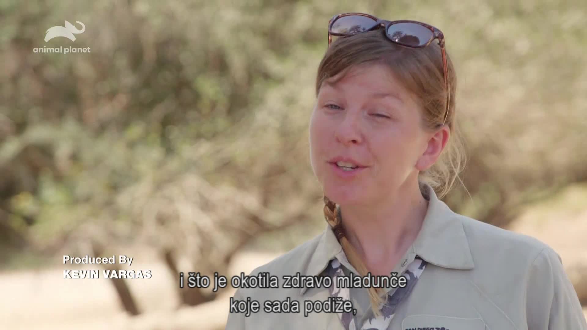 AnimalPlanet