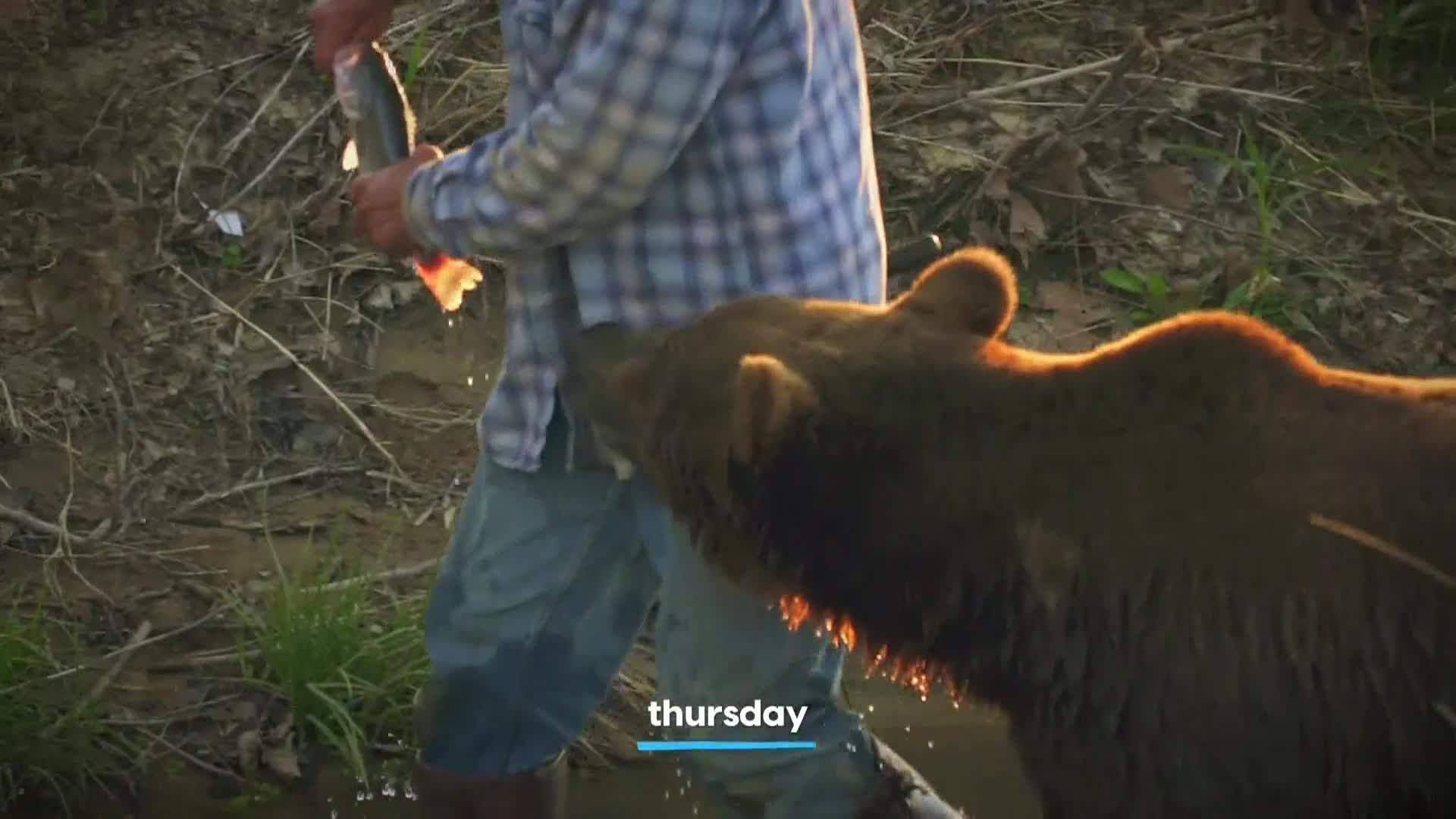 AnimalPlanet