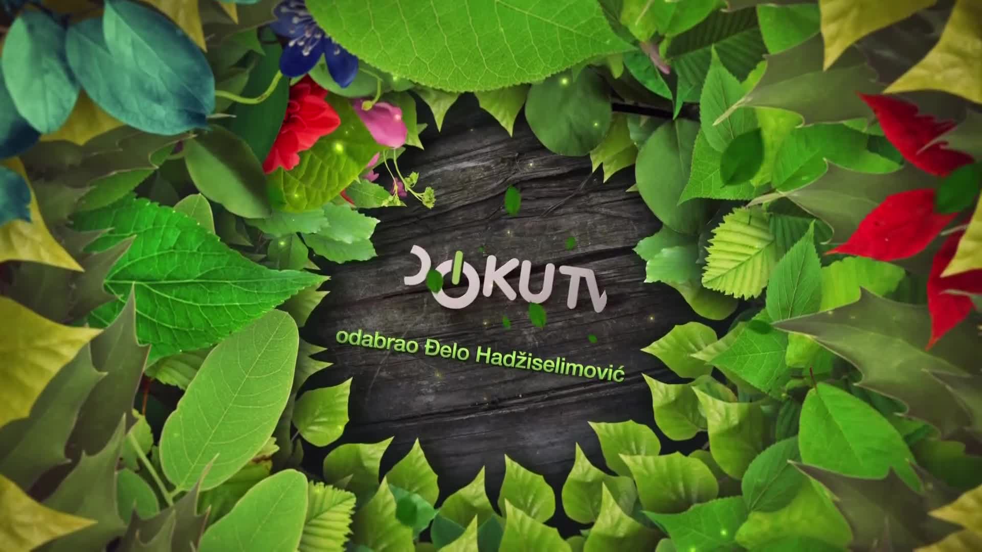 DokuTV