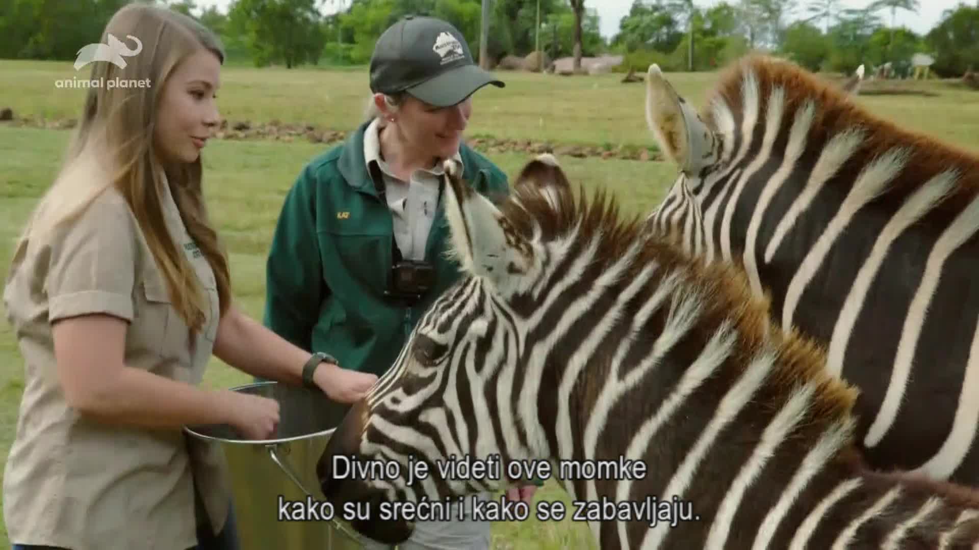 AnimalPlanet