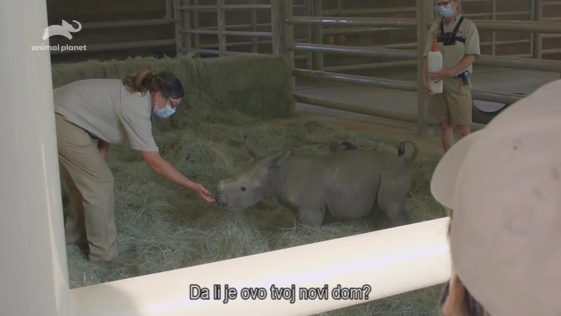 AnimalPlanet