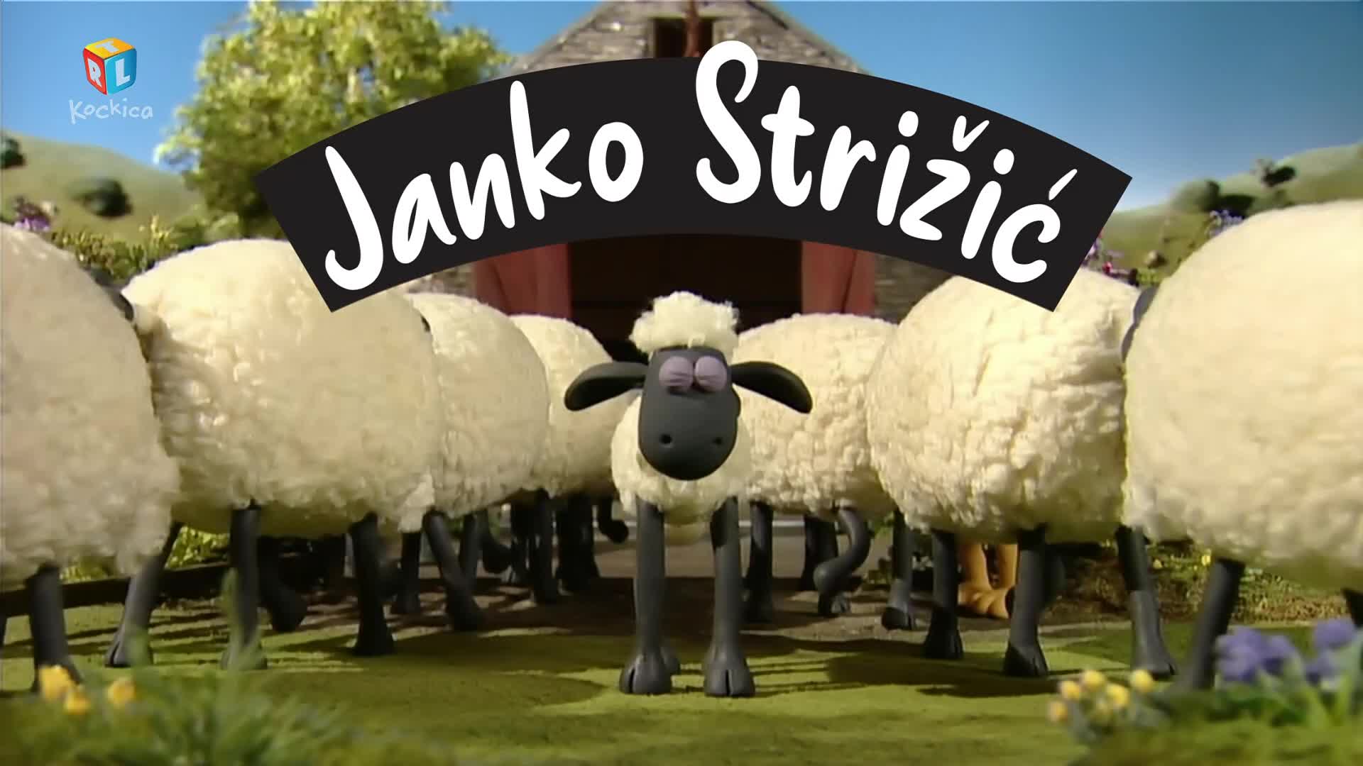 RTLKockica