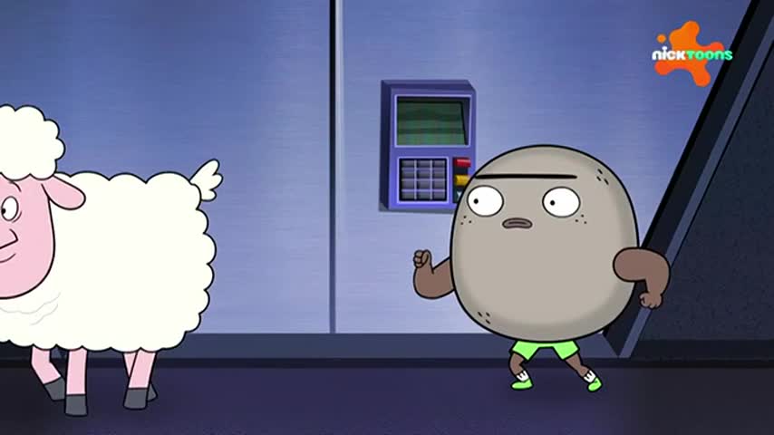 CCExtra