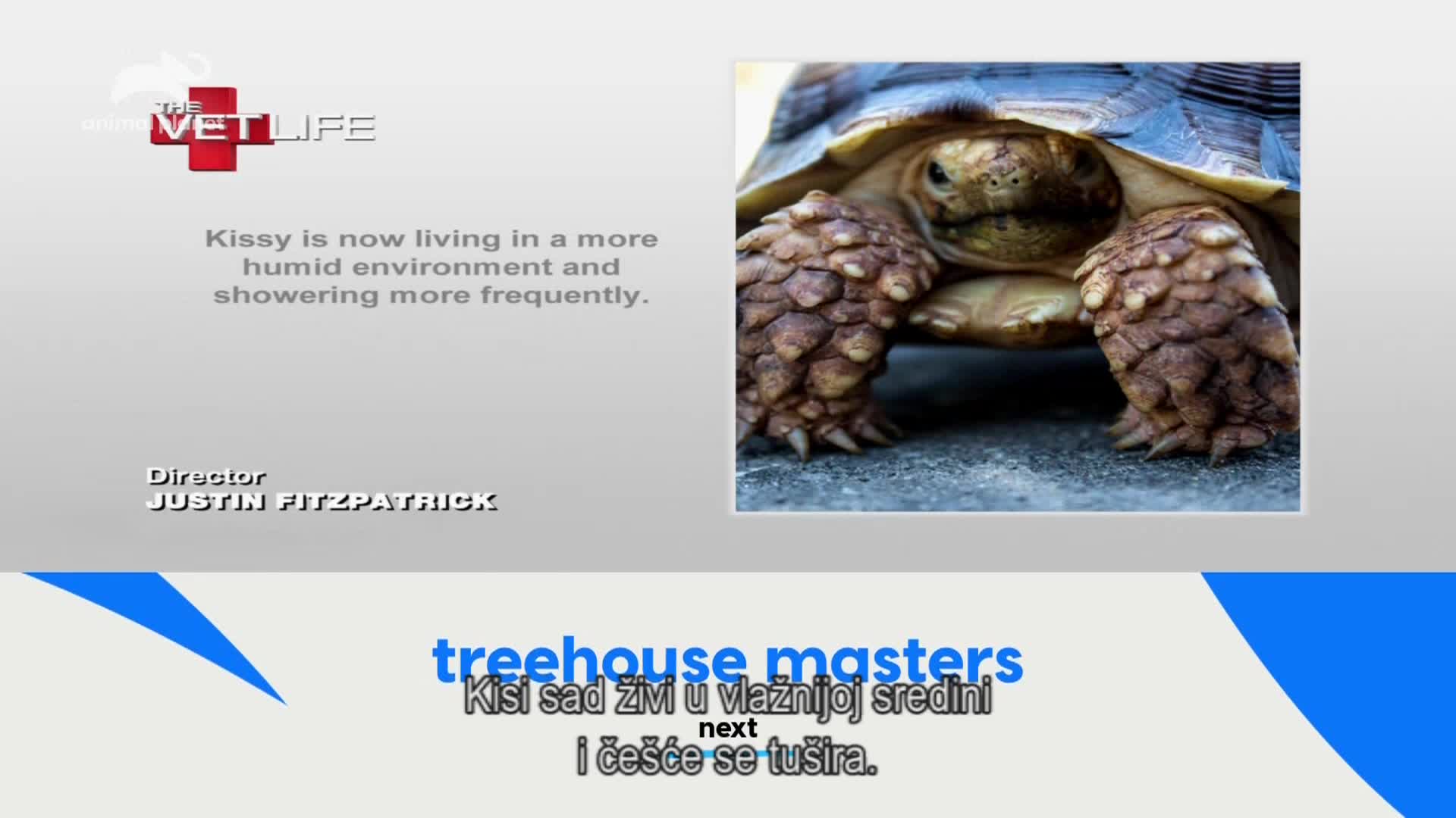 AnimalPlanet