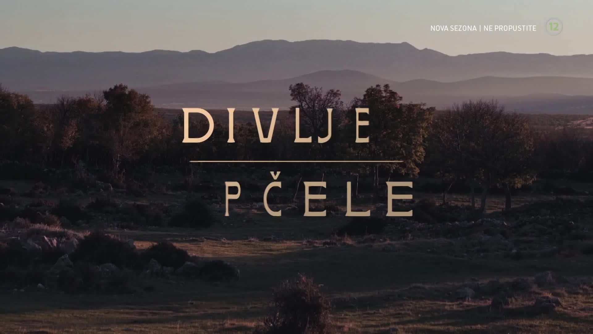 RTL