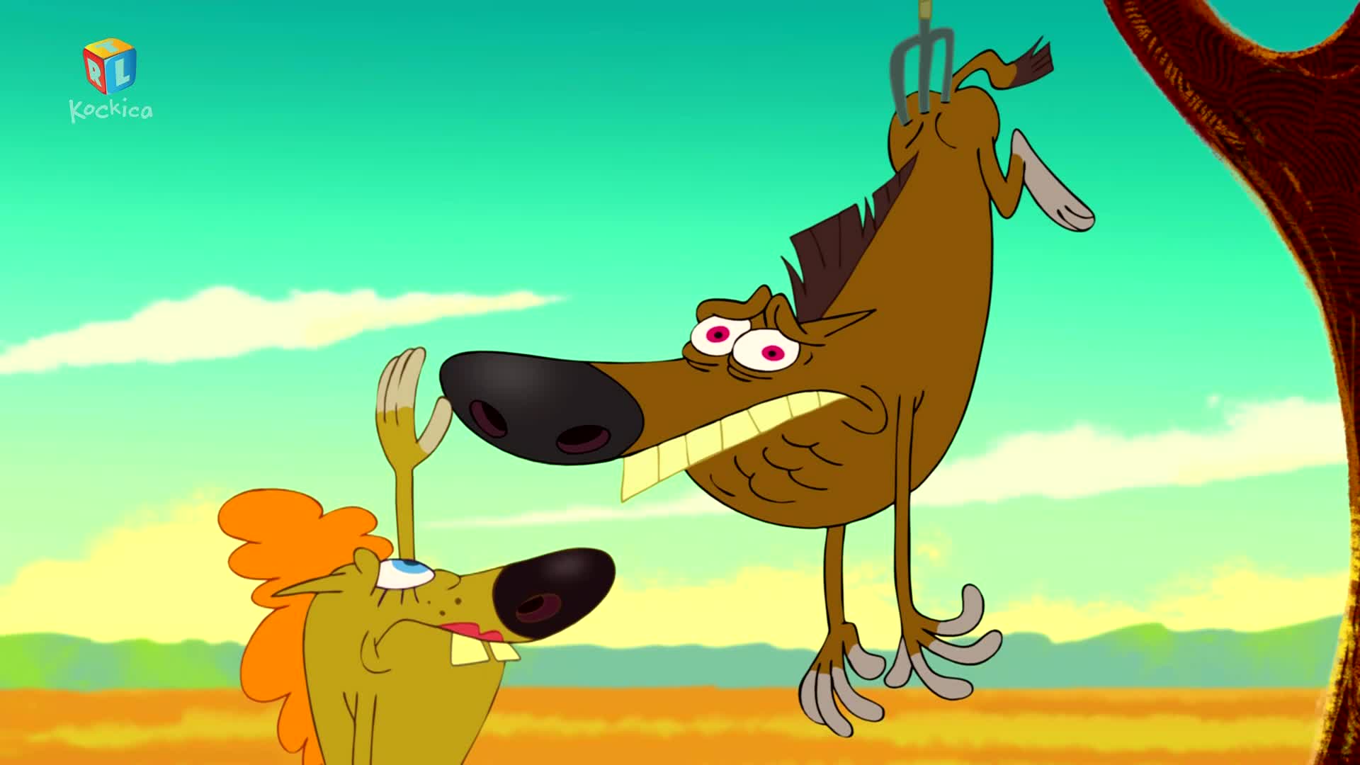 RTLKockica