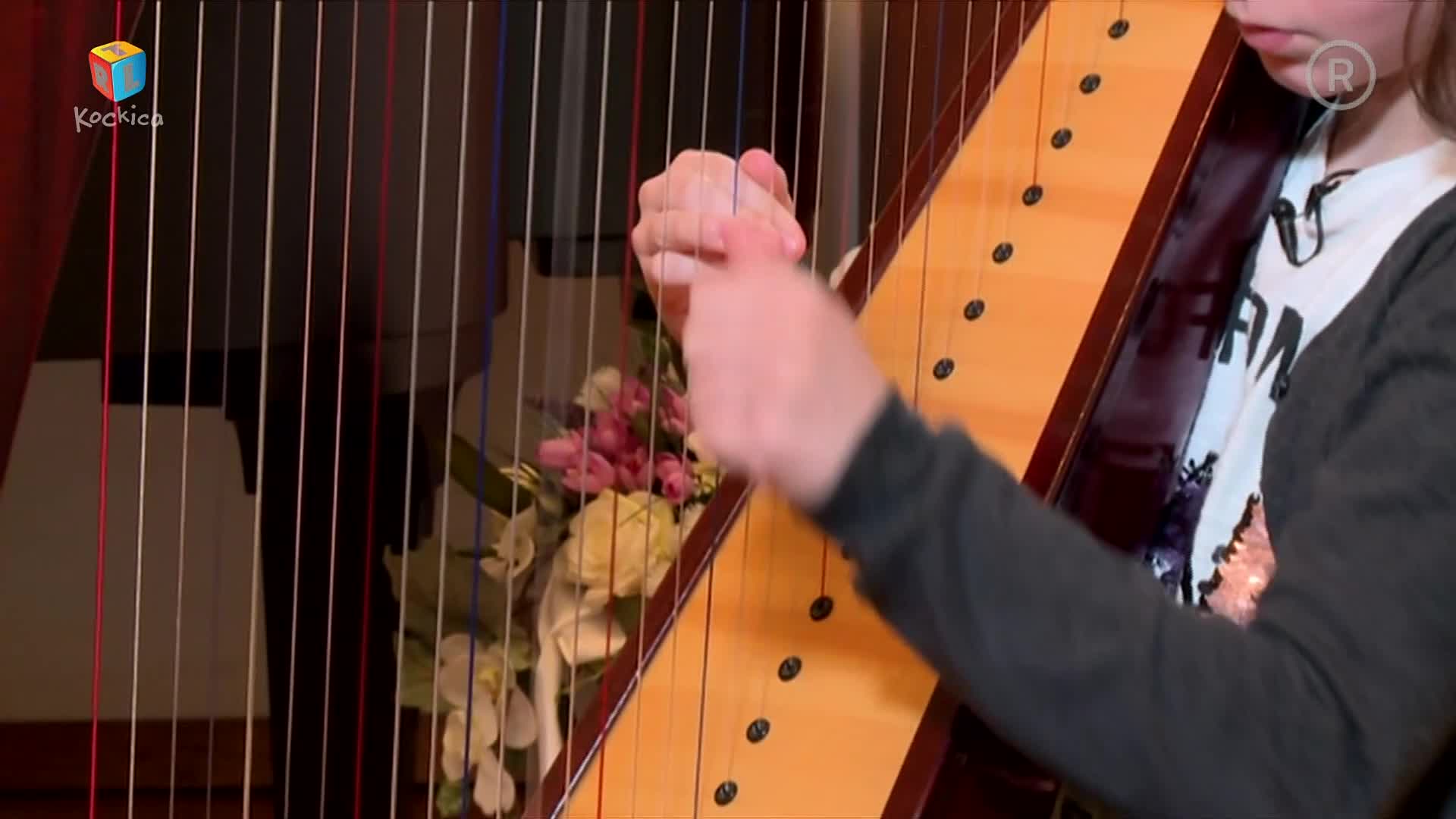 RTLKockica