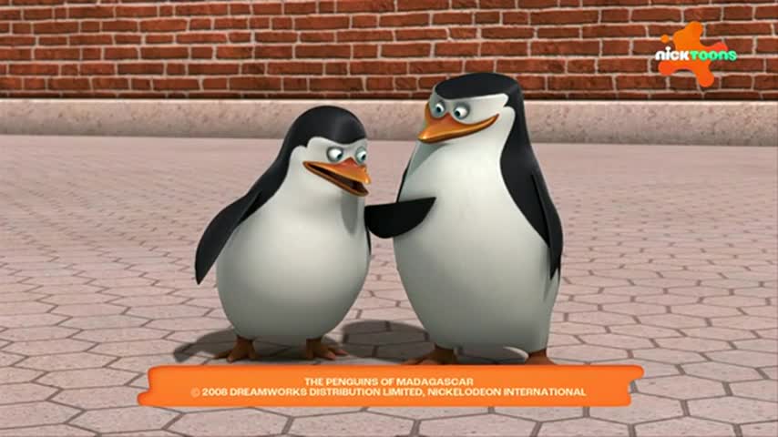 CCExtra