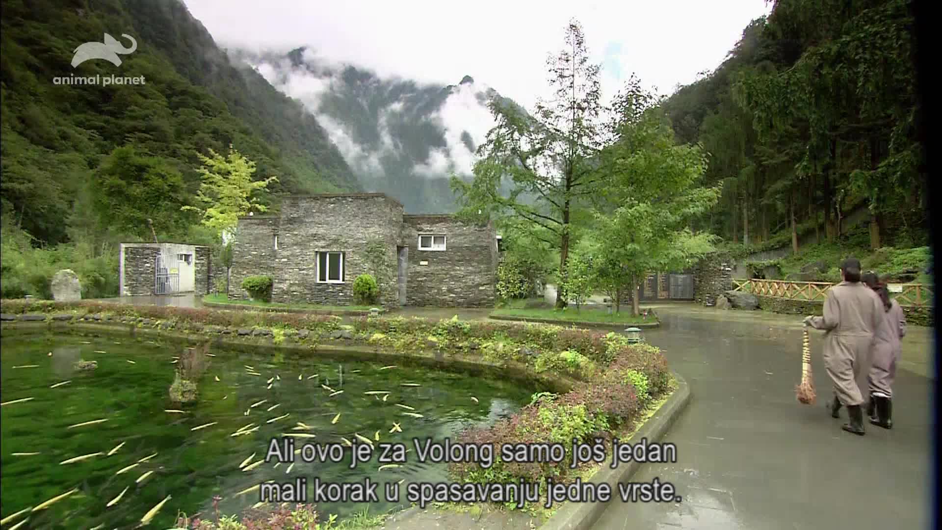 AnimalPlanet
