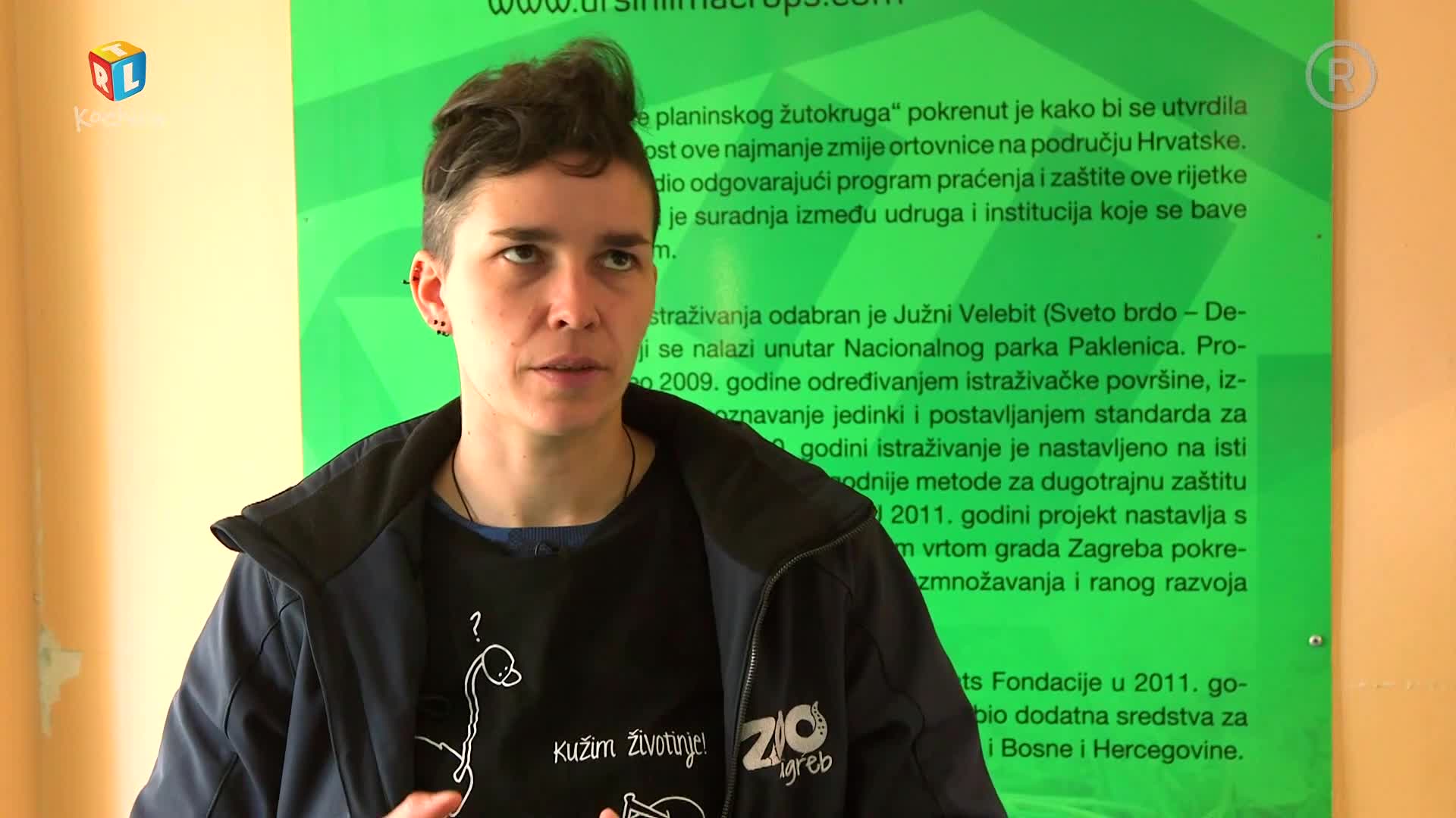 RTLKockica