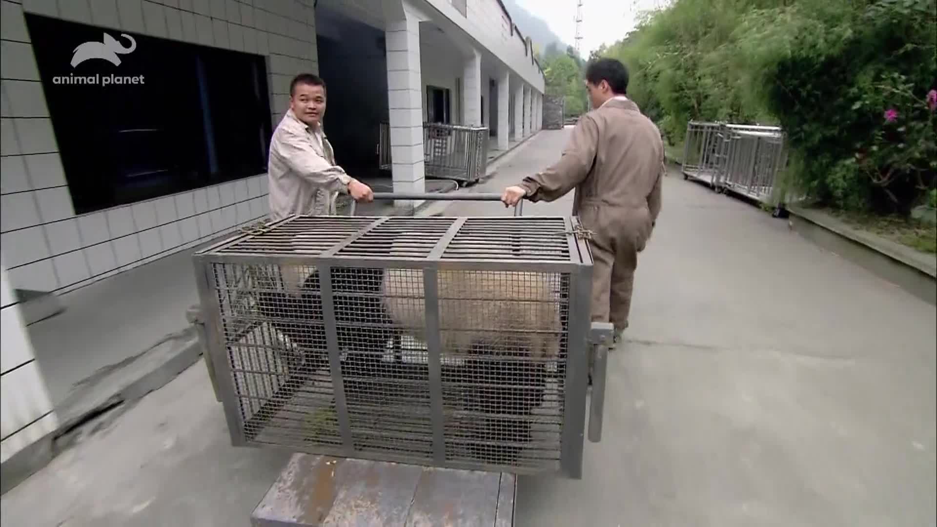 AnimalPlanet