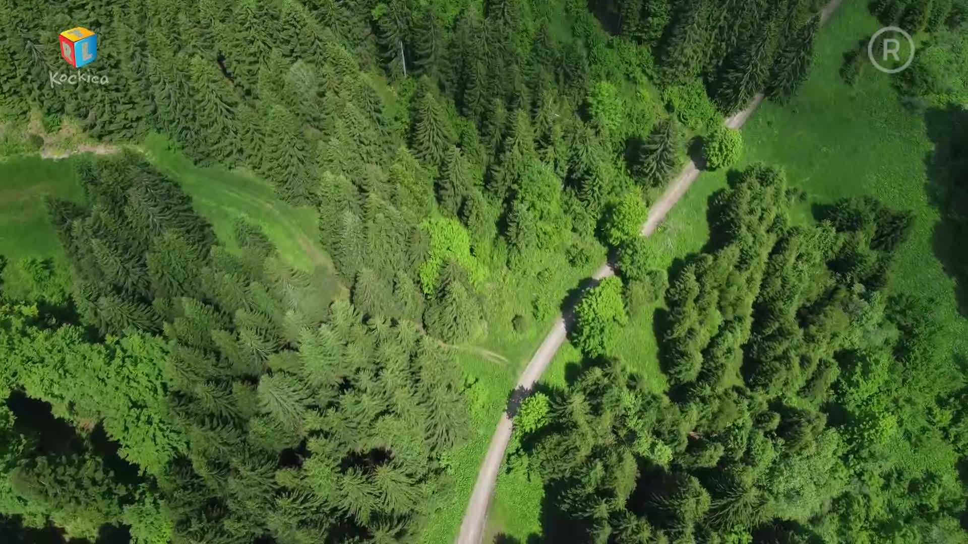 RTLKockica