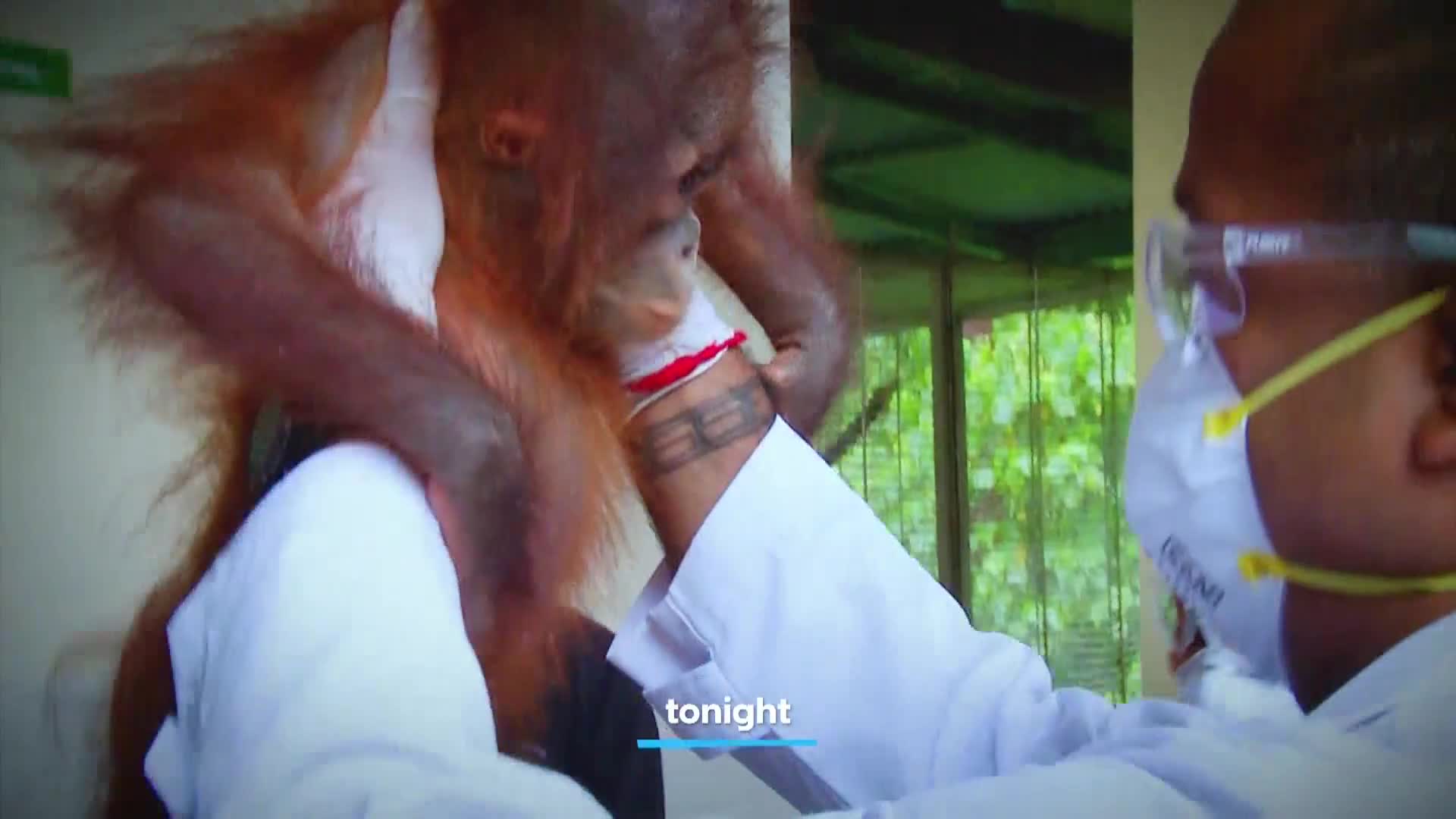 AnimalPlanet
