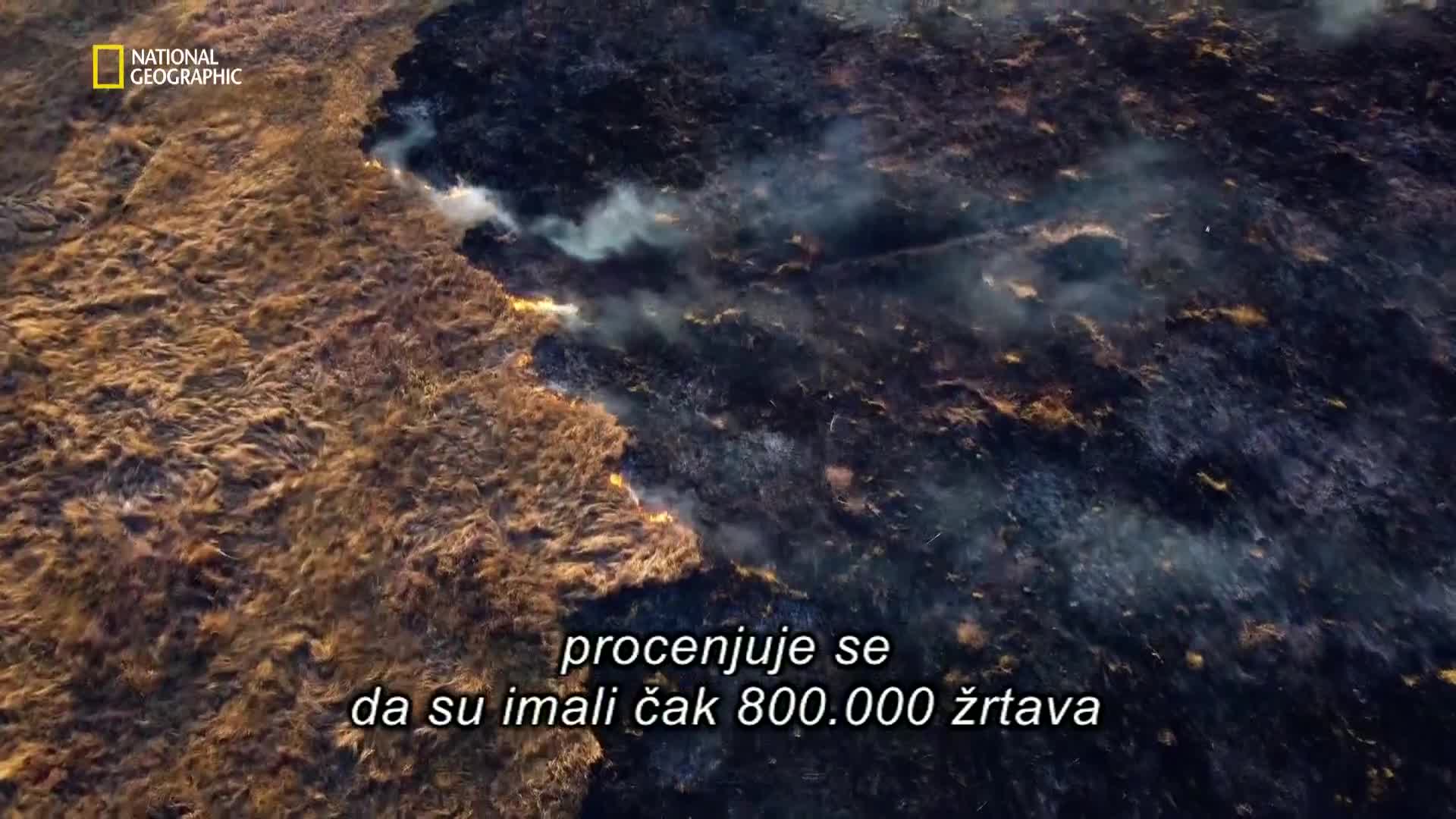 Premium10