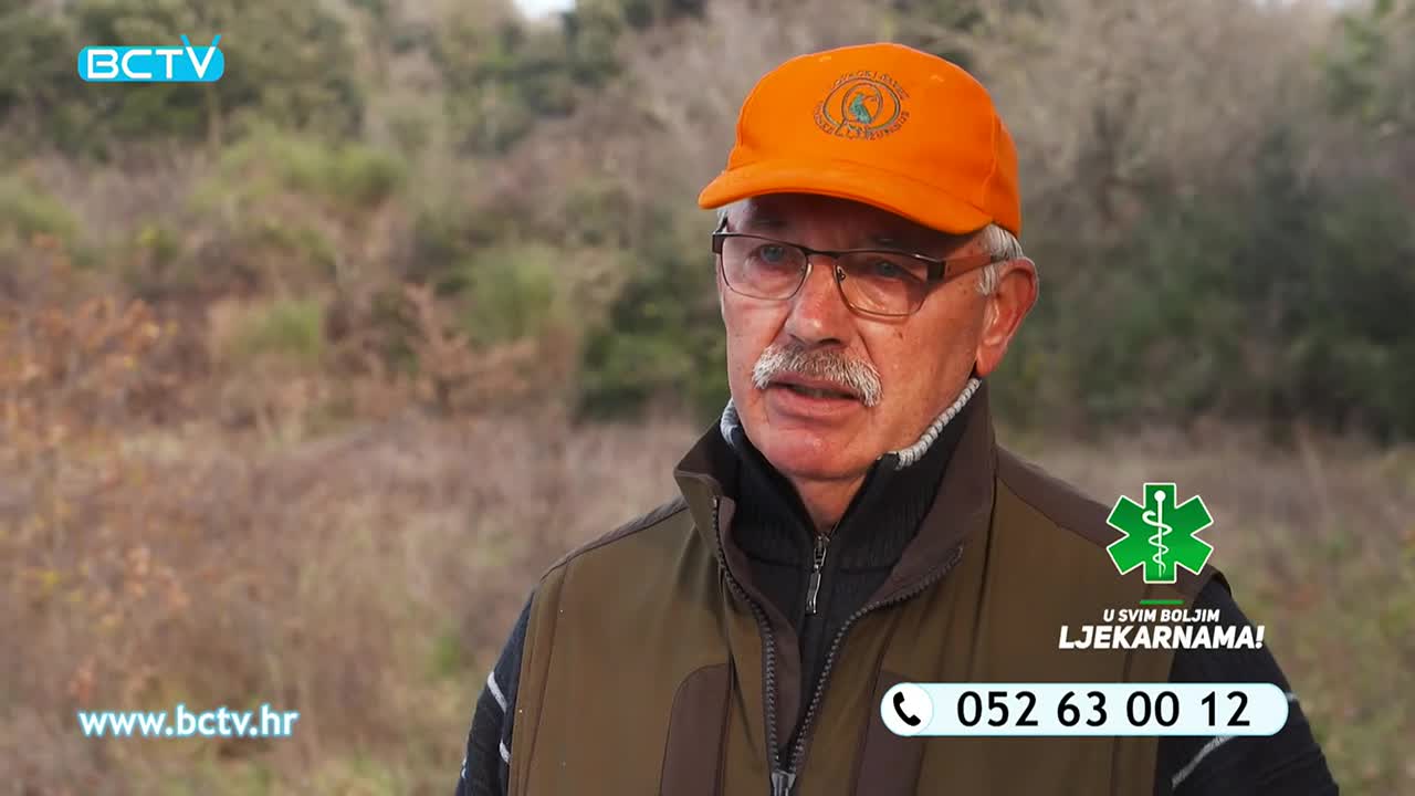 DomaTV