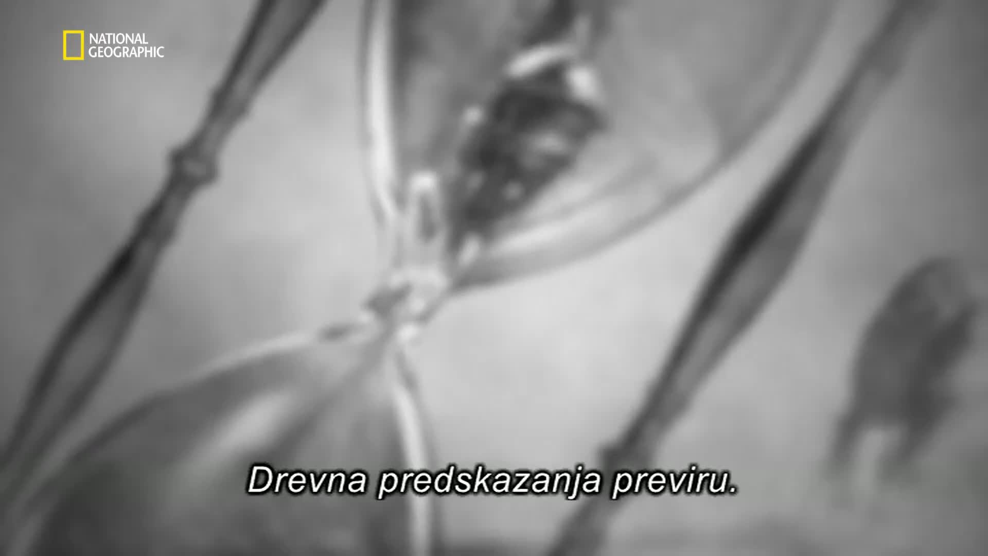 Premium10