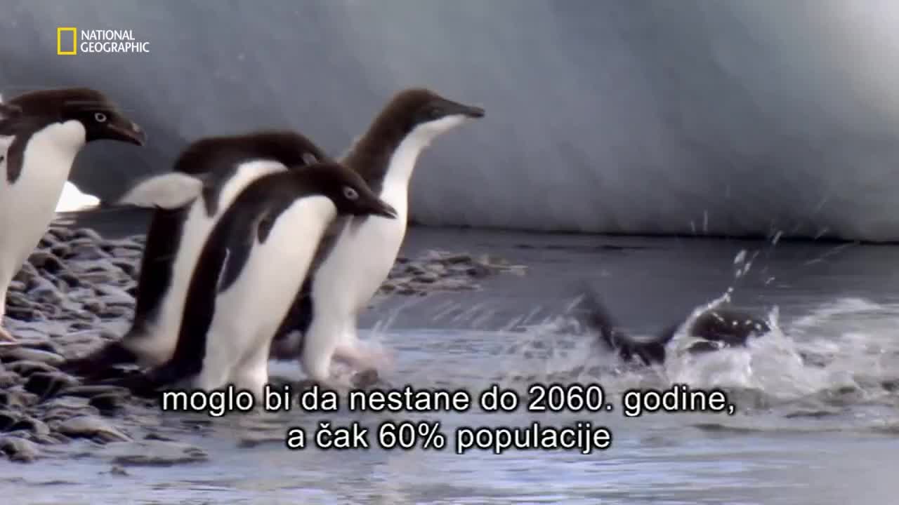 Premium10
