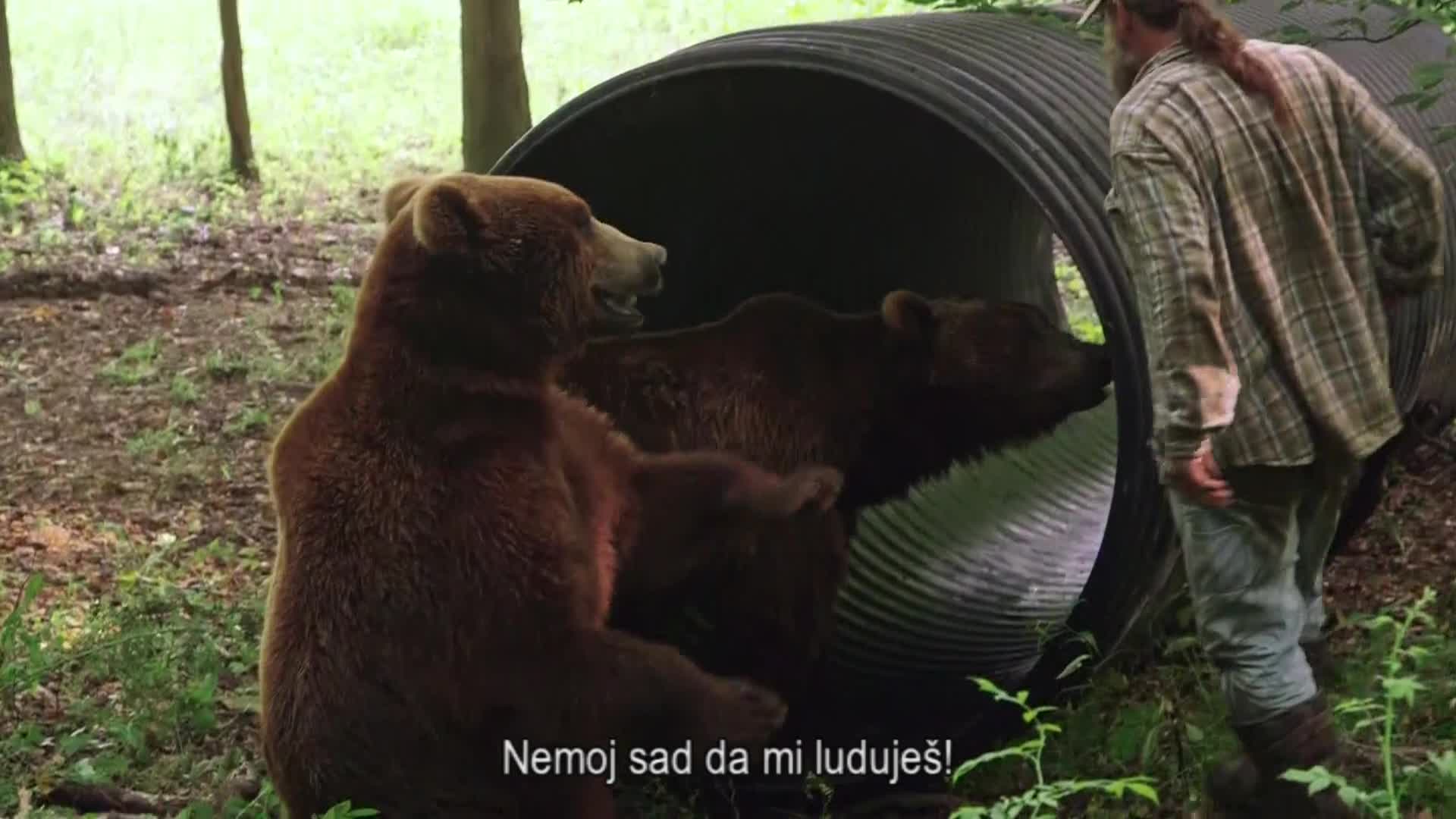 AnimalPlanet