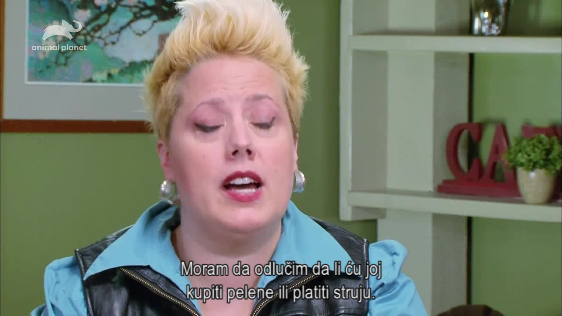 AnimalPlanet
