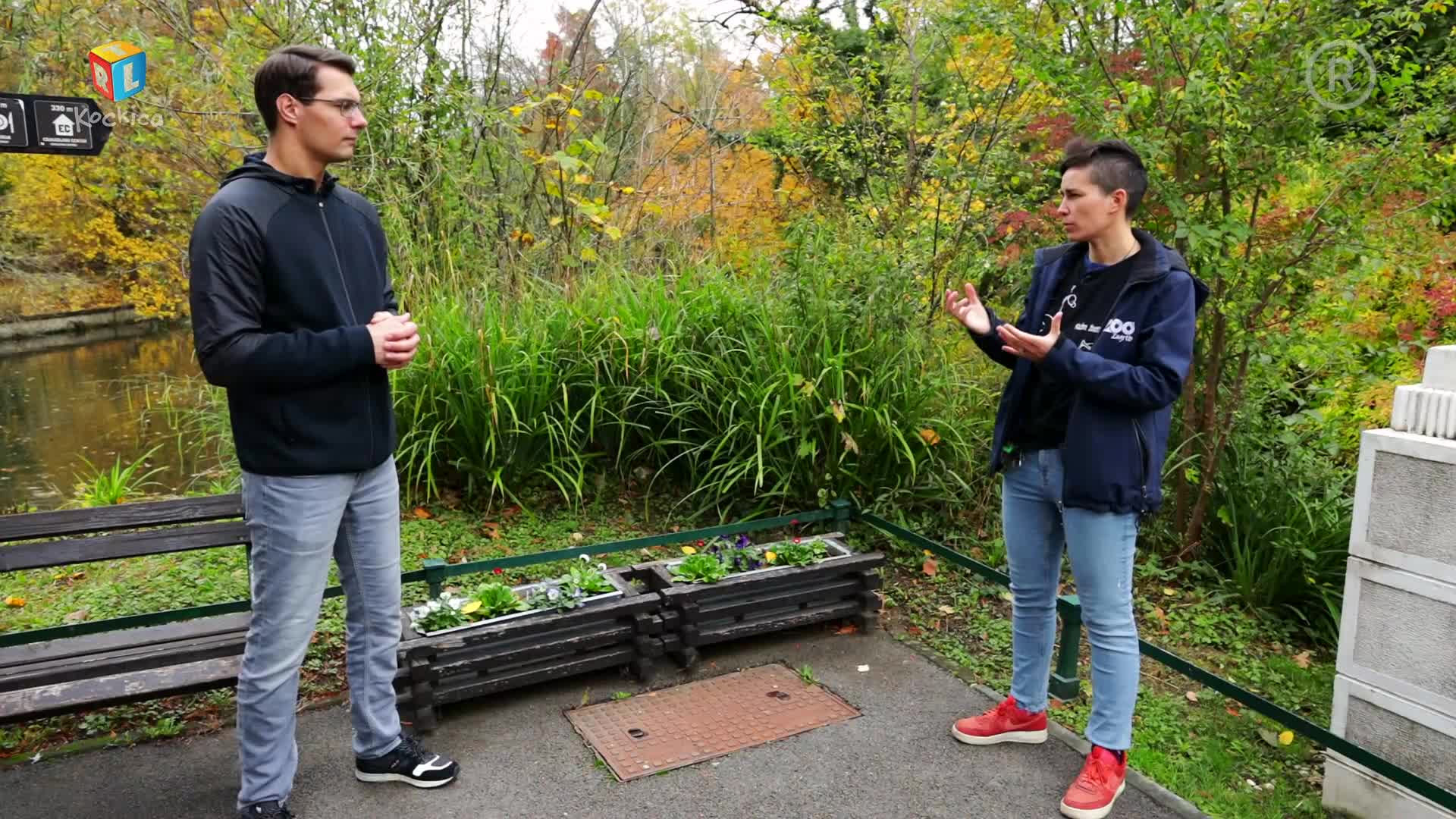 RTLKockica