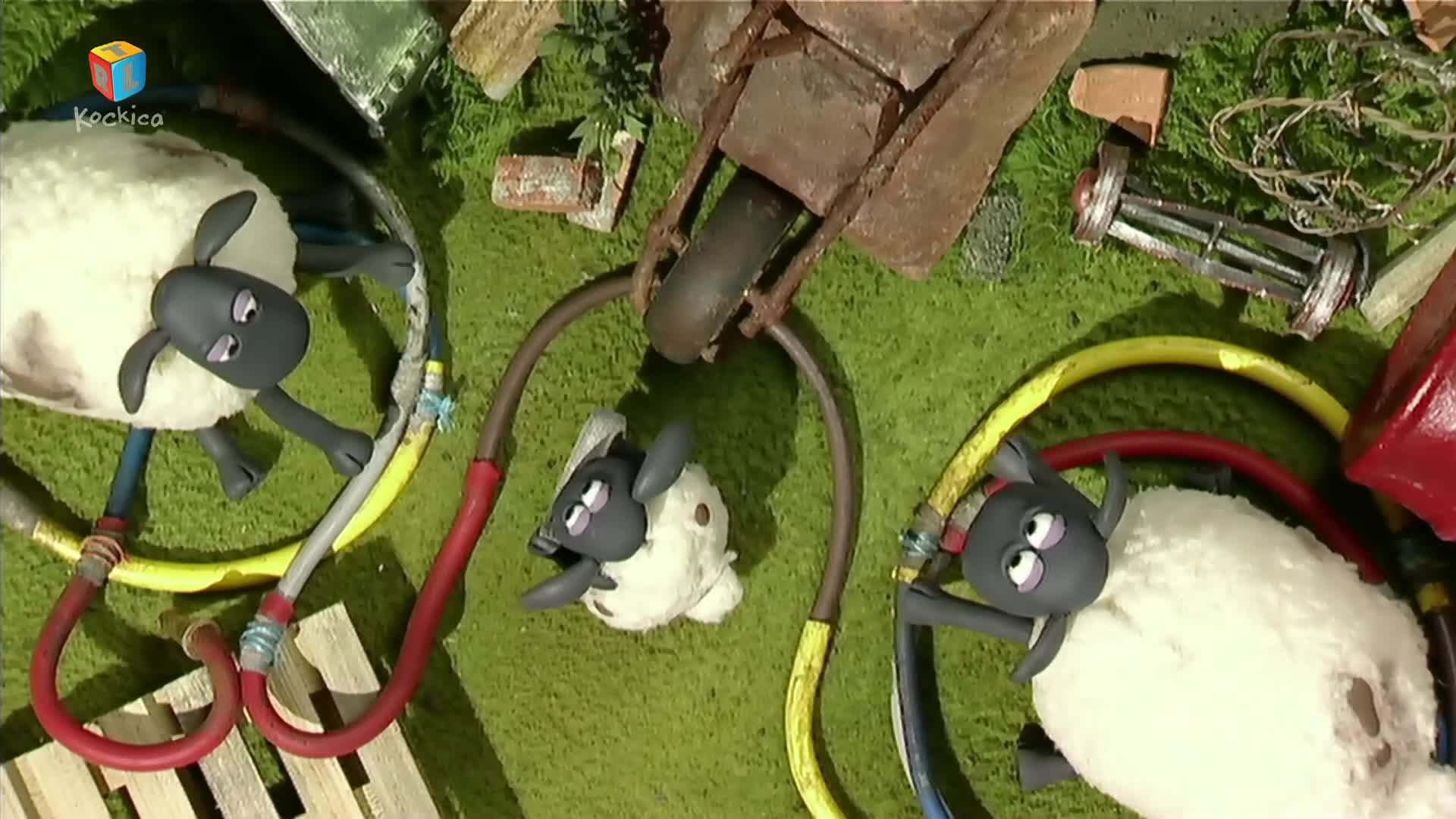 RTLKockica