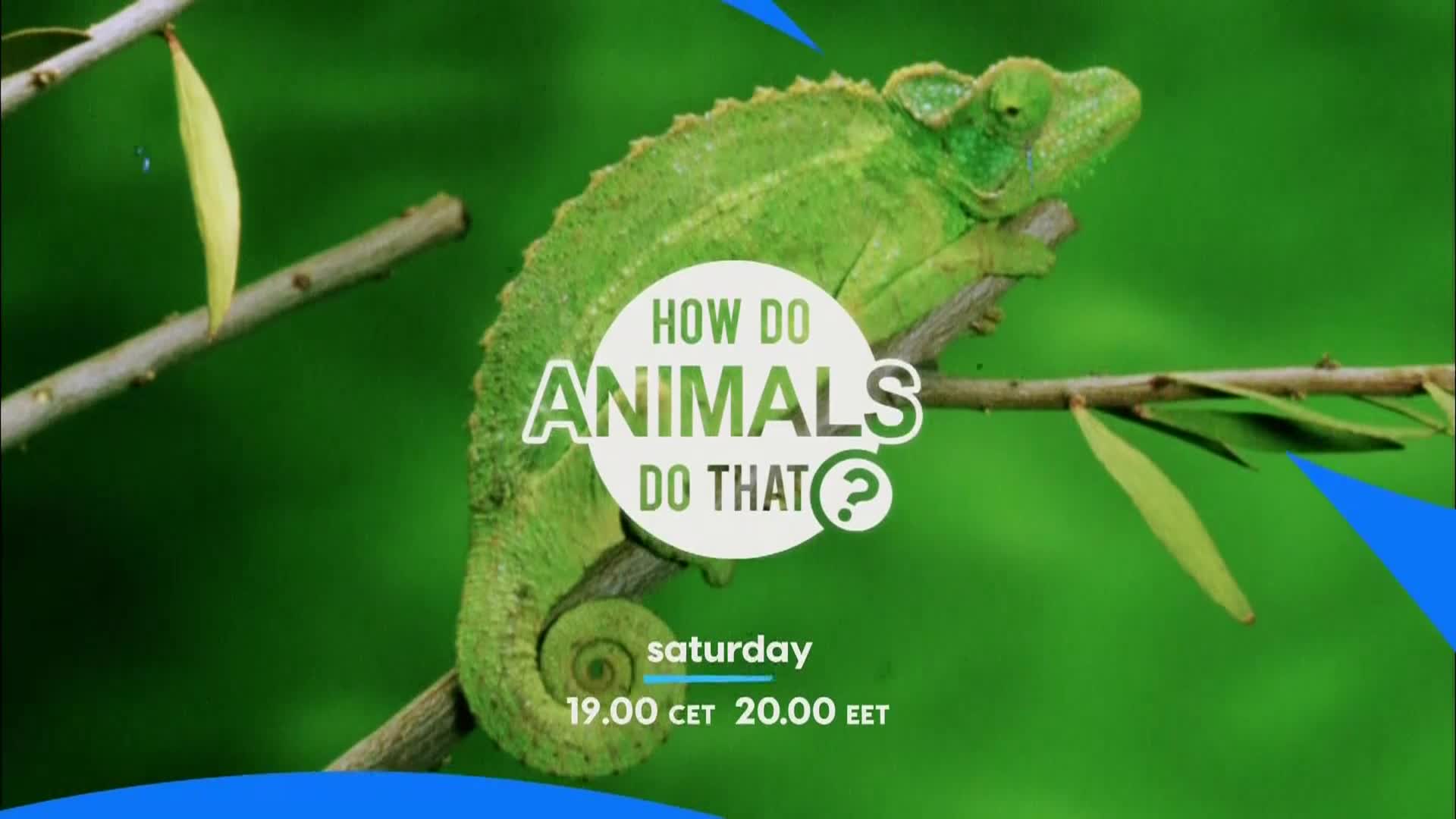 AnimalPlanet