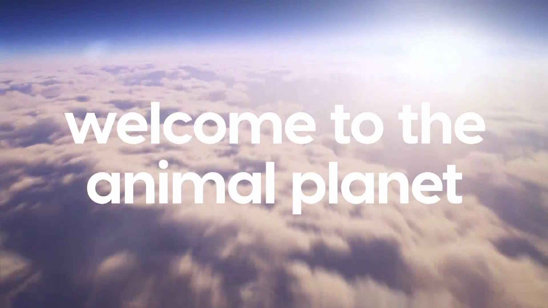 AnimalPlanet