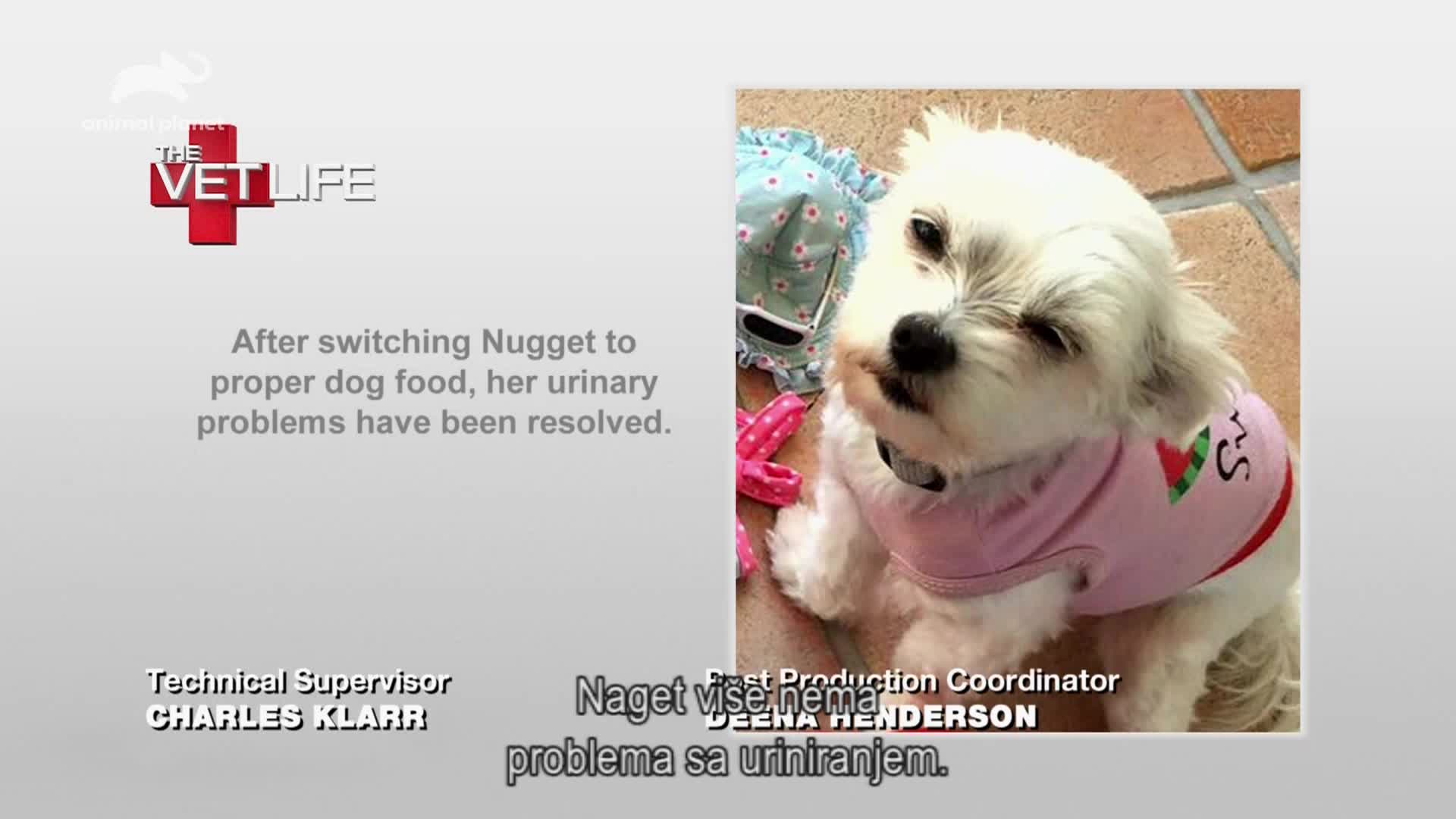 AnimalPlanet