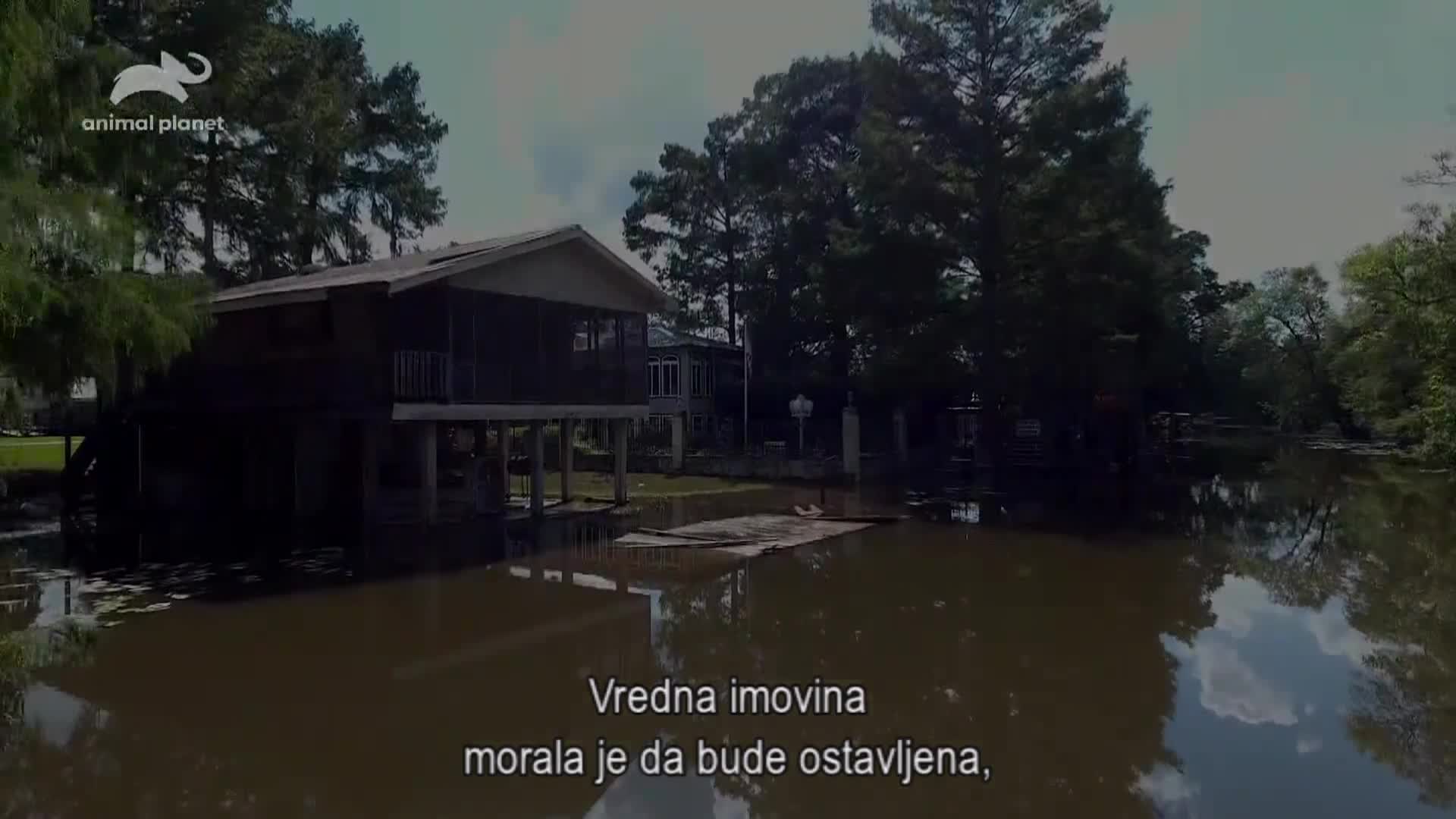 AnimalPlanet