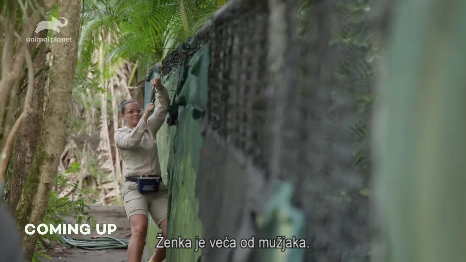 AnimalPlanet