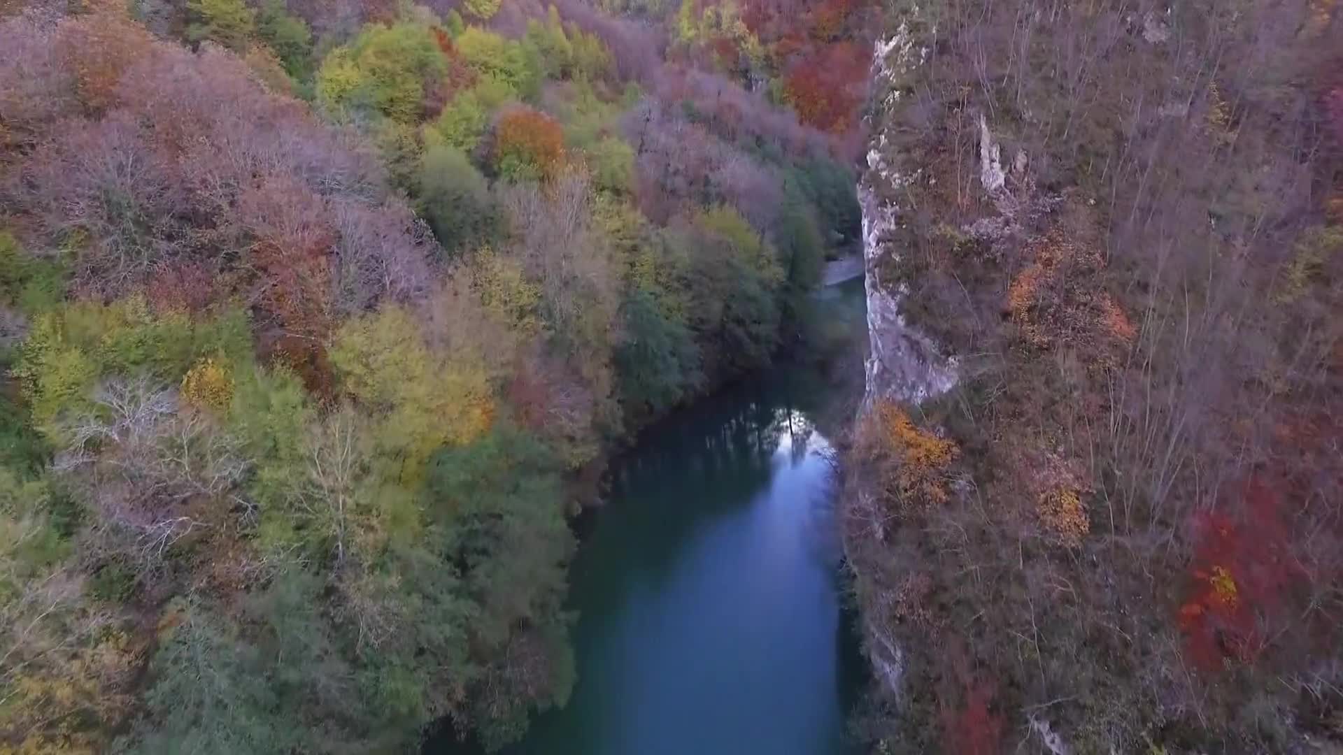DokuTV