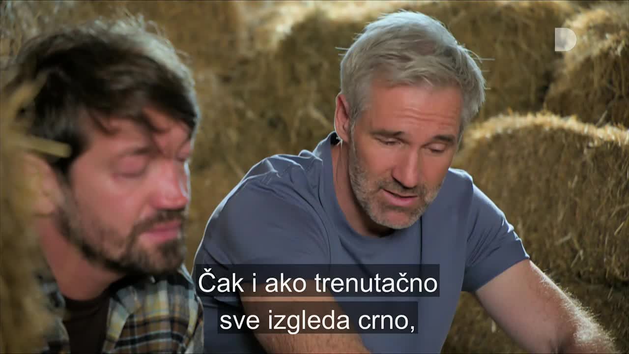 DomaTV
