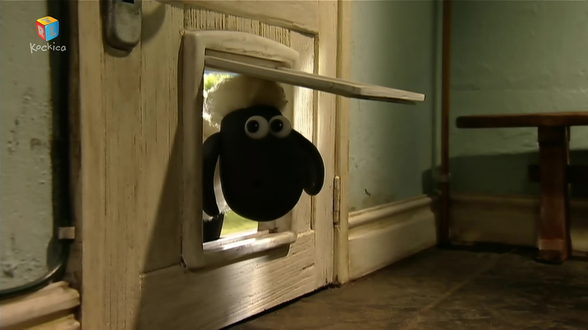 RTLKockica