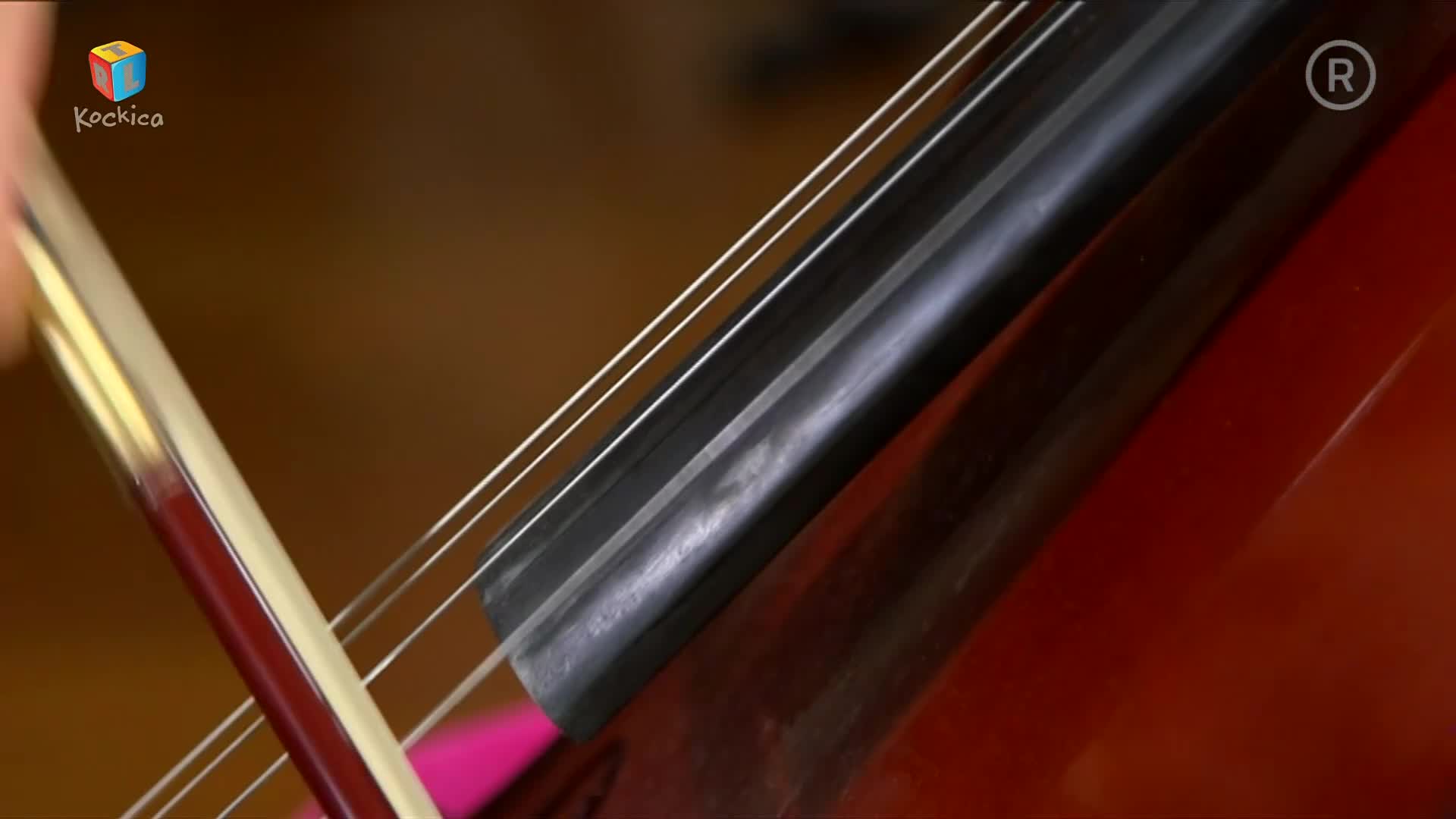 RTLKockica