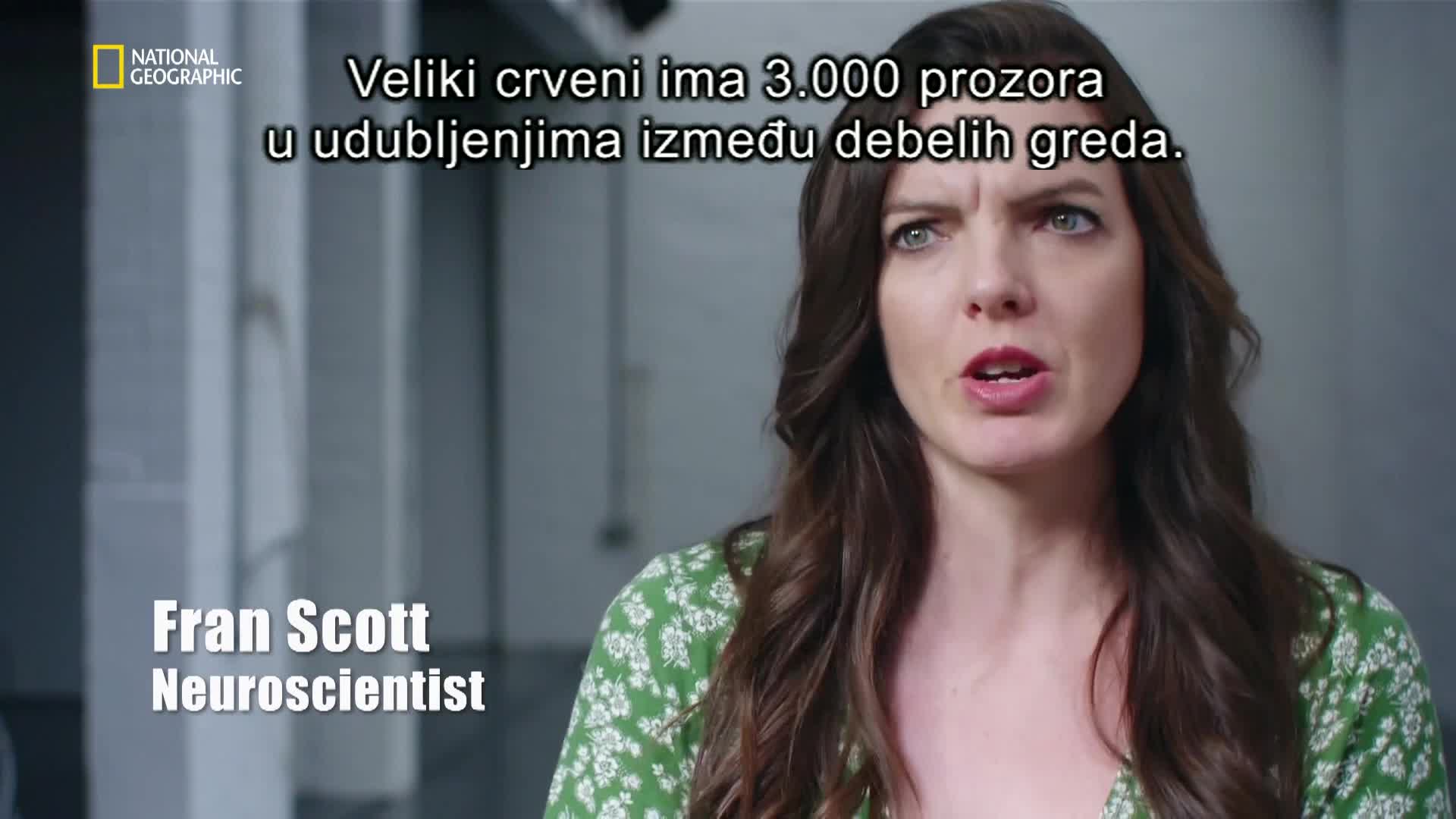 Premium10