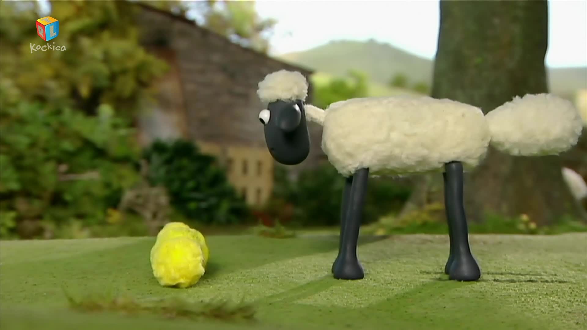 RTLKockica