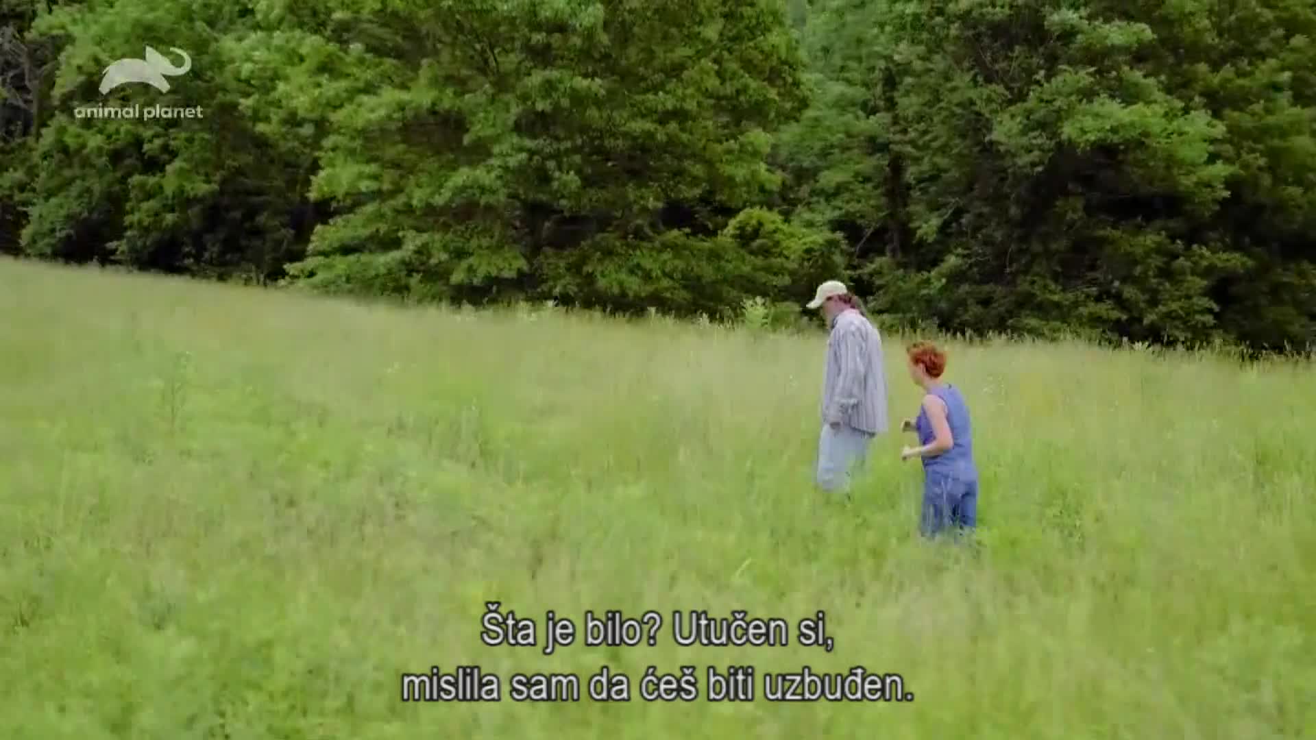 AnimalPlanet