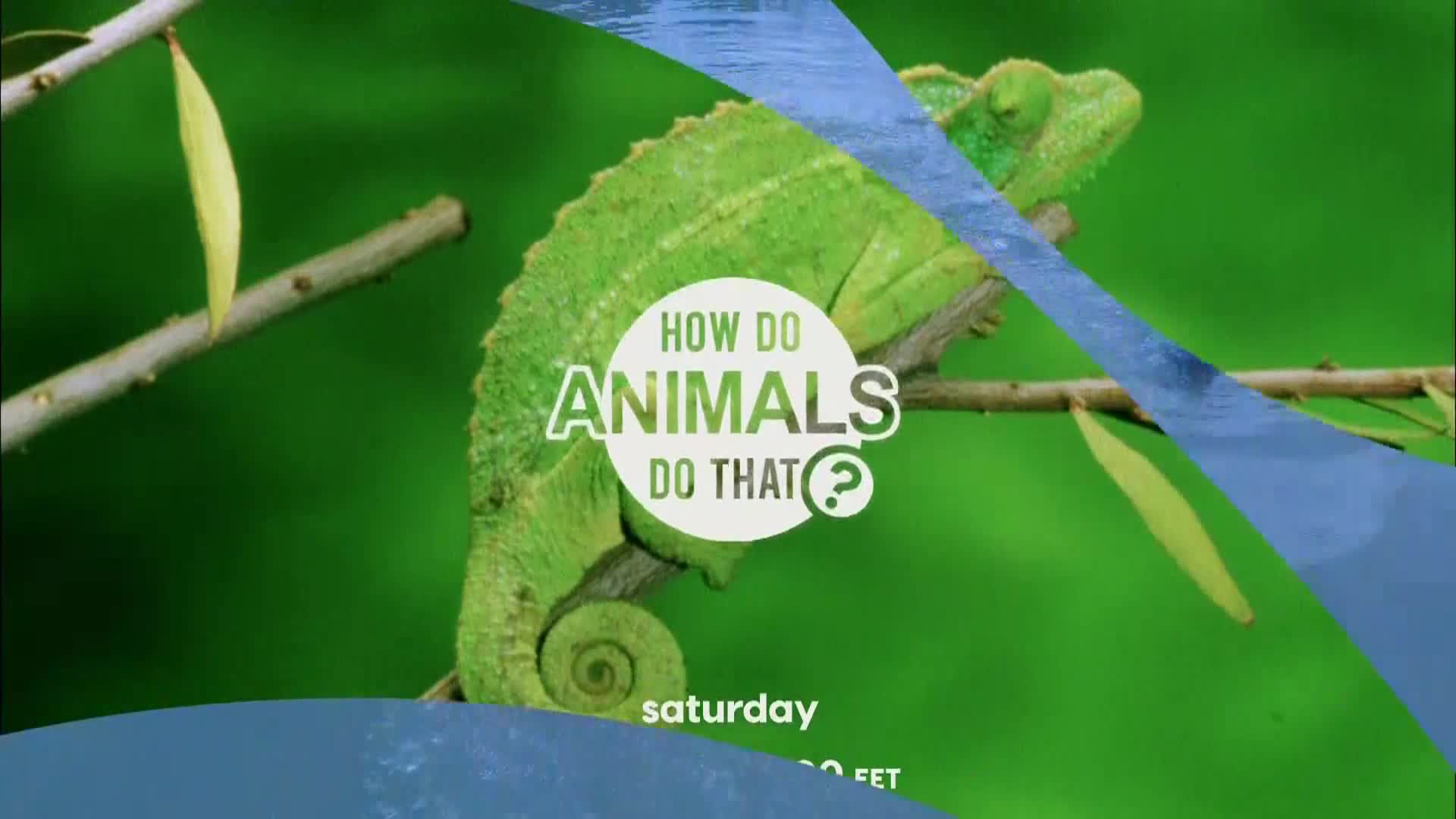 AnimalPlanet